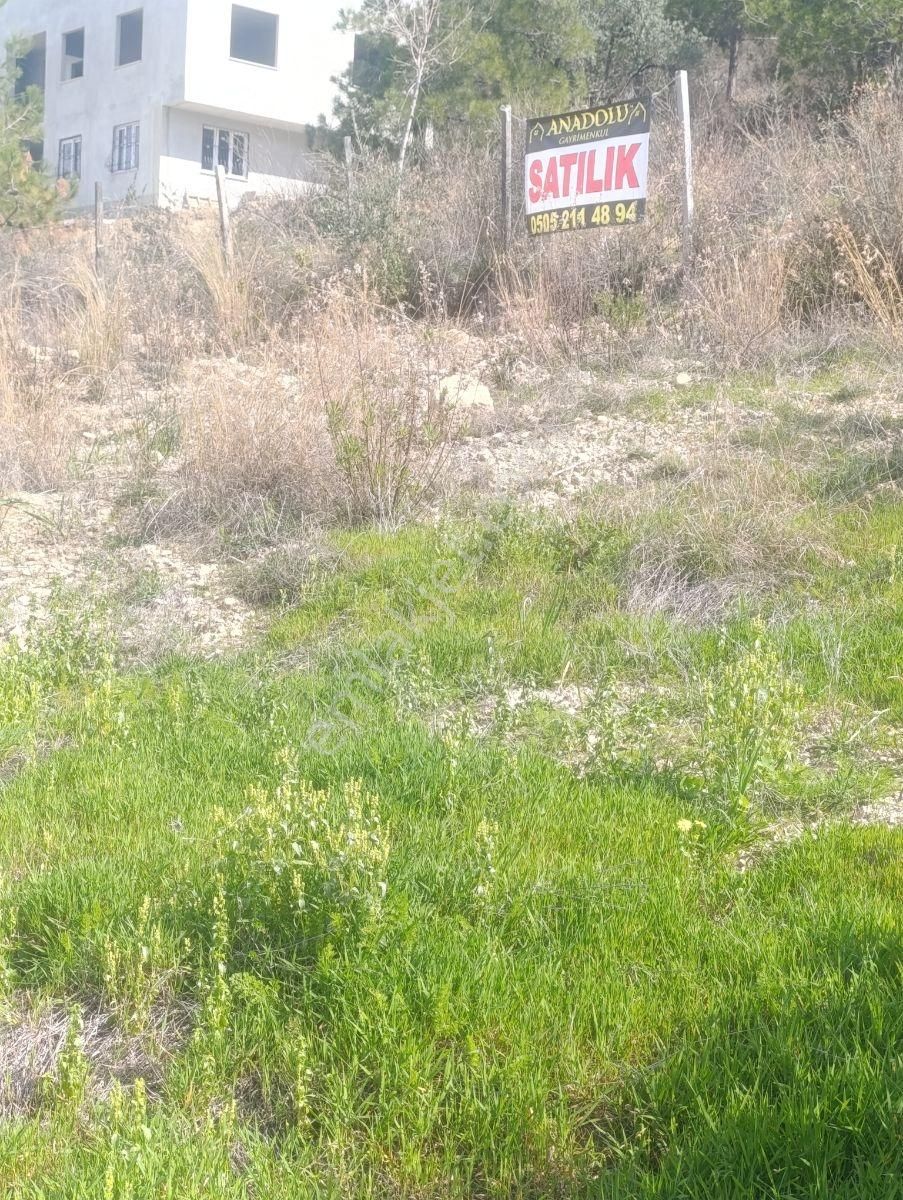 Anadolu Gayrimenkulden 5 Kata İmarlı 397 M² Aslan Paşa