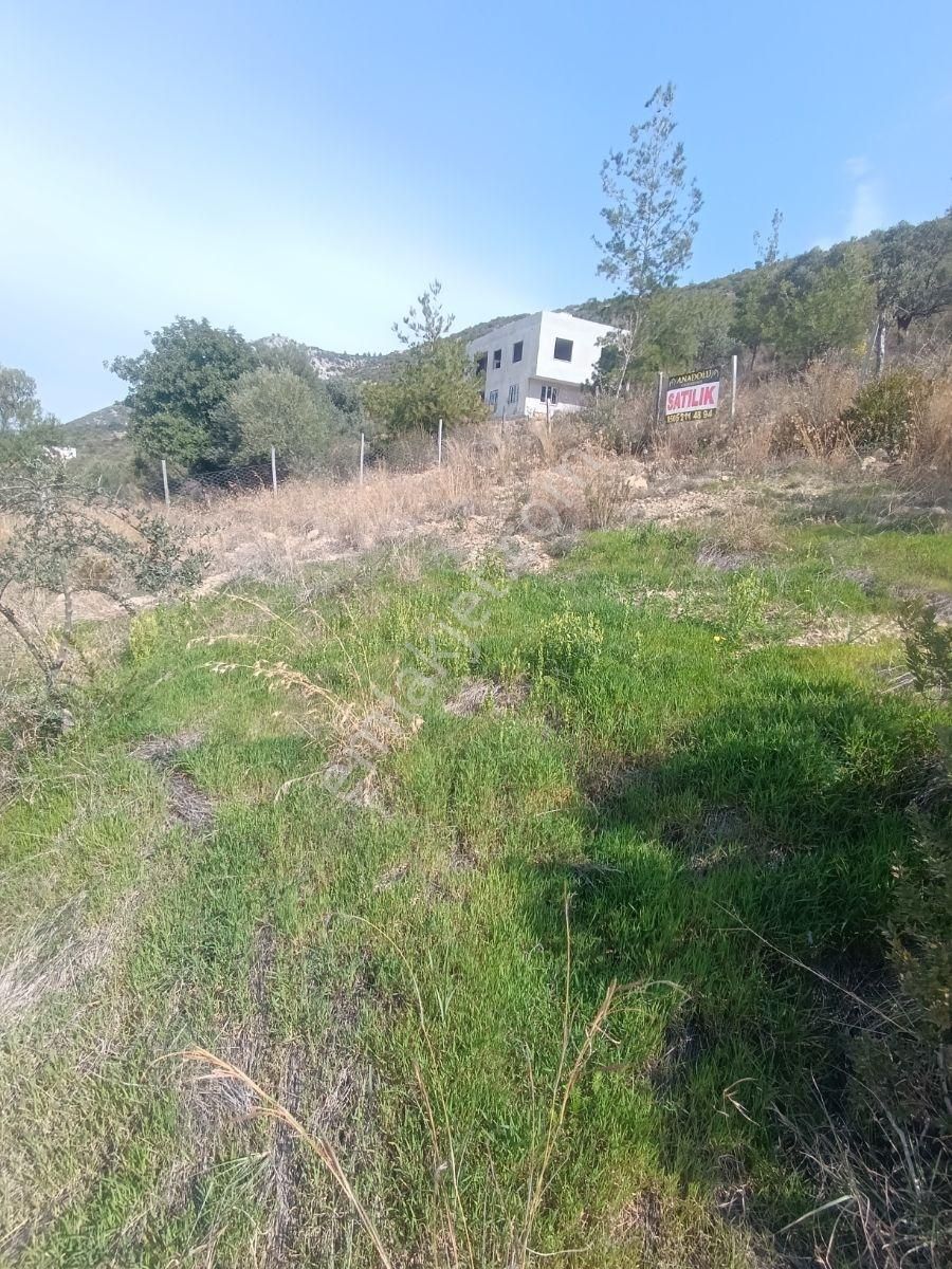 Anadolu Gayrimenkulden 5 Kata İmarlı 397 M² Aslan Paşa - Görsel 20