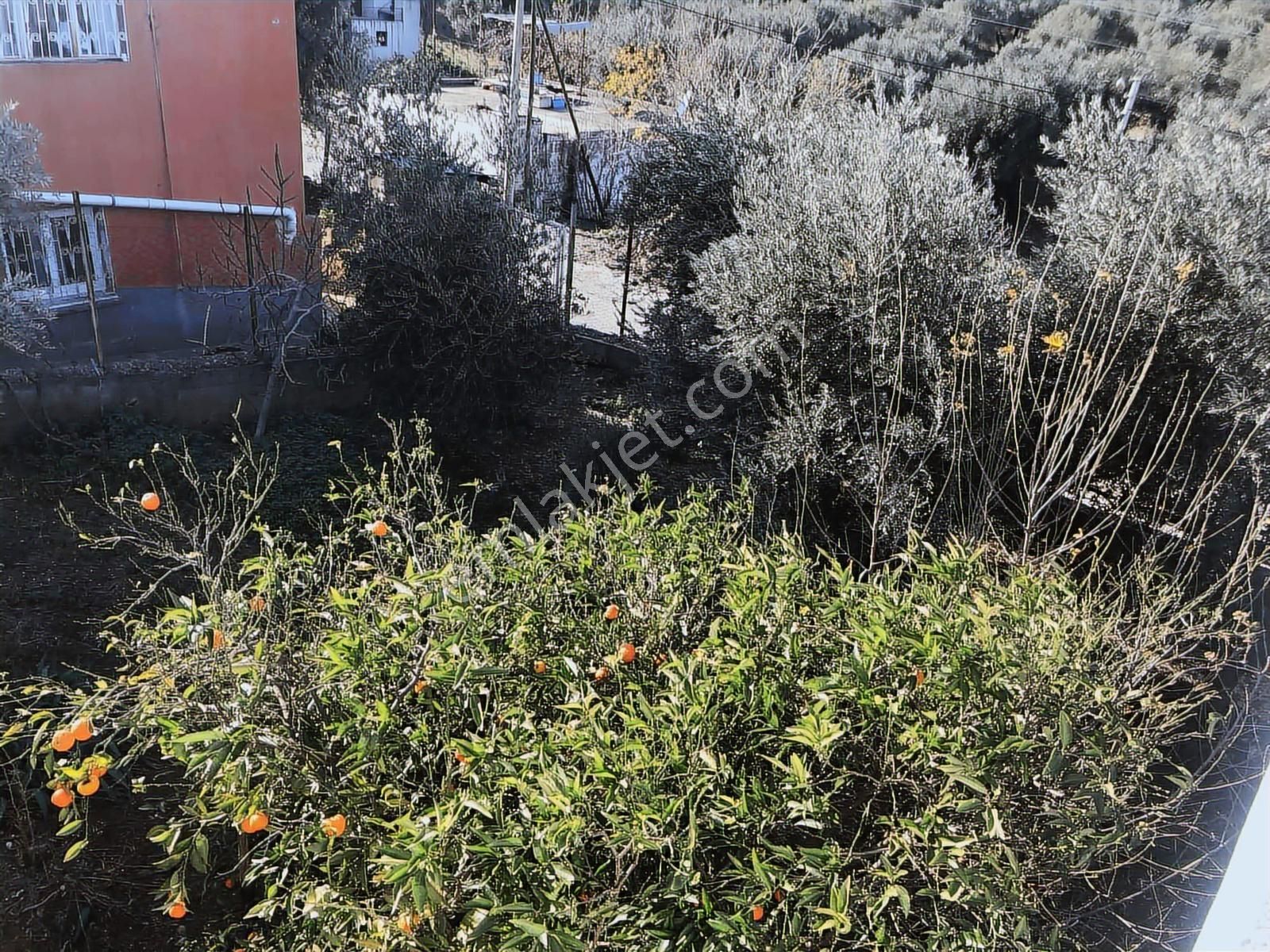 Anadolu Gayrimenkulden İki Katlı Büyük Bahçeli Müstakil Ev - Görsel 9