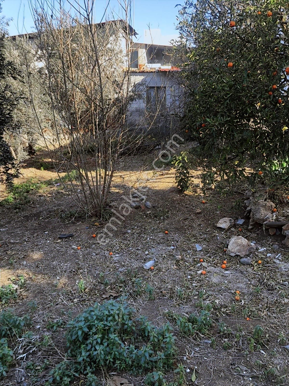 Anadolu Gayrimenkulden İki Katlı Büyük Bahçeli Müstakil Ev - Görsel 22