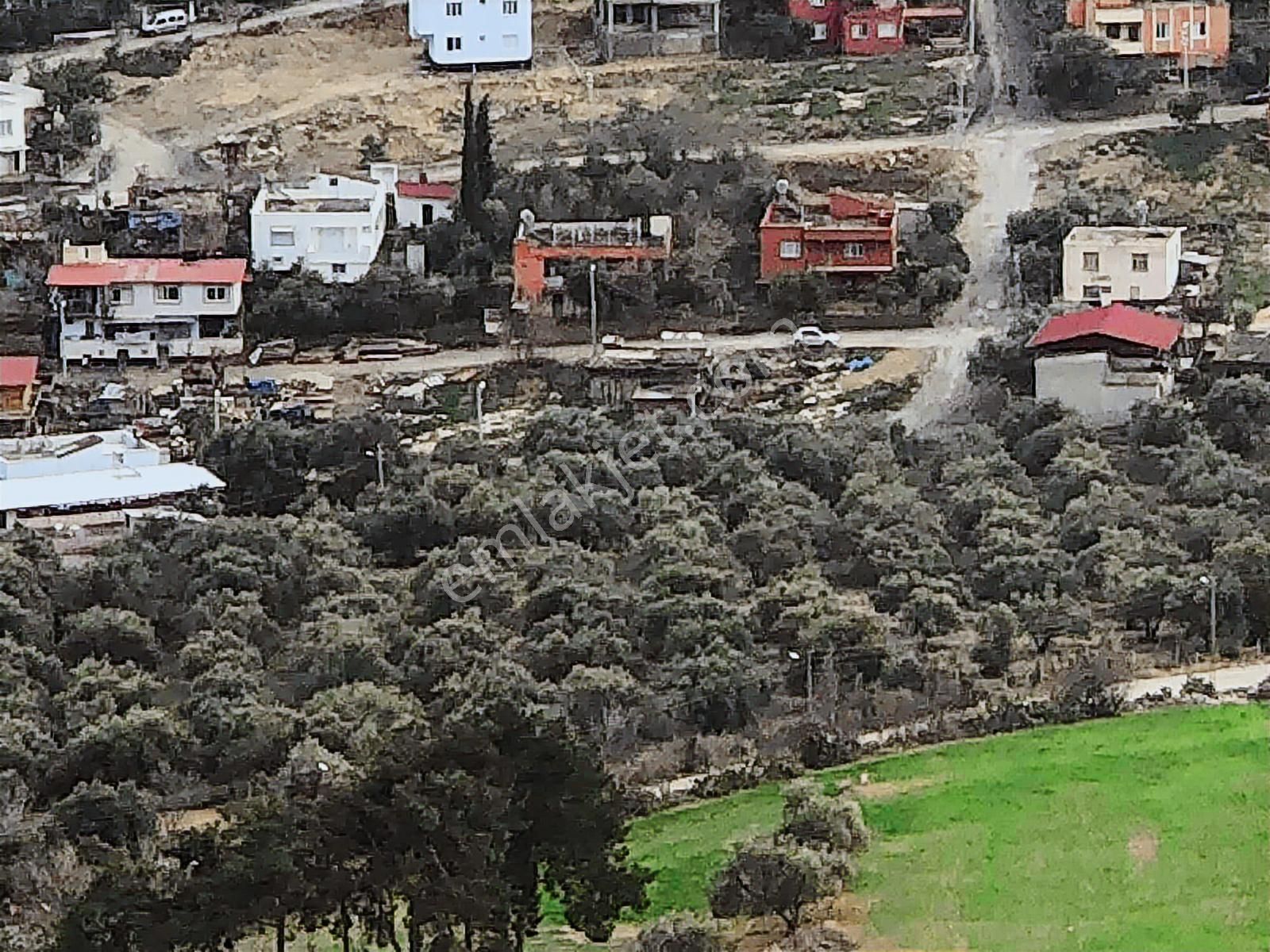 Anadolu Gayrimenkulden İki Katlı Büyük Bahçeli Müstakil Ev - Görsel 21