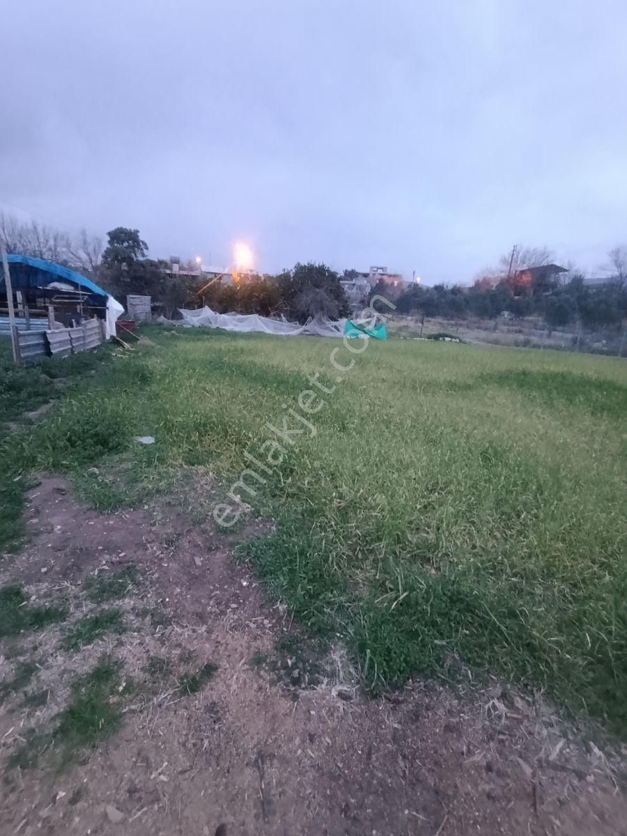 Anadolu Gayrimenkulden Kadirli Yoluna Yakın 470 M² Yatırımlık - Görsel 9