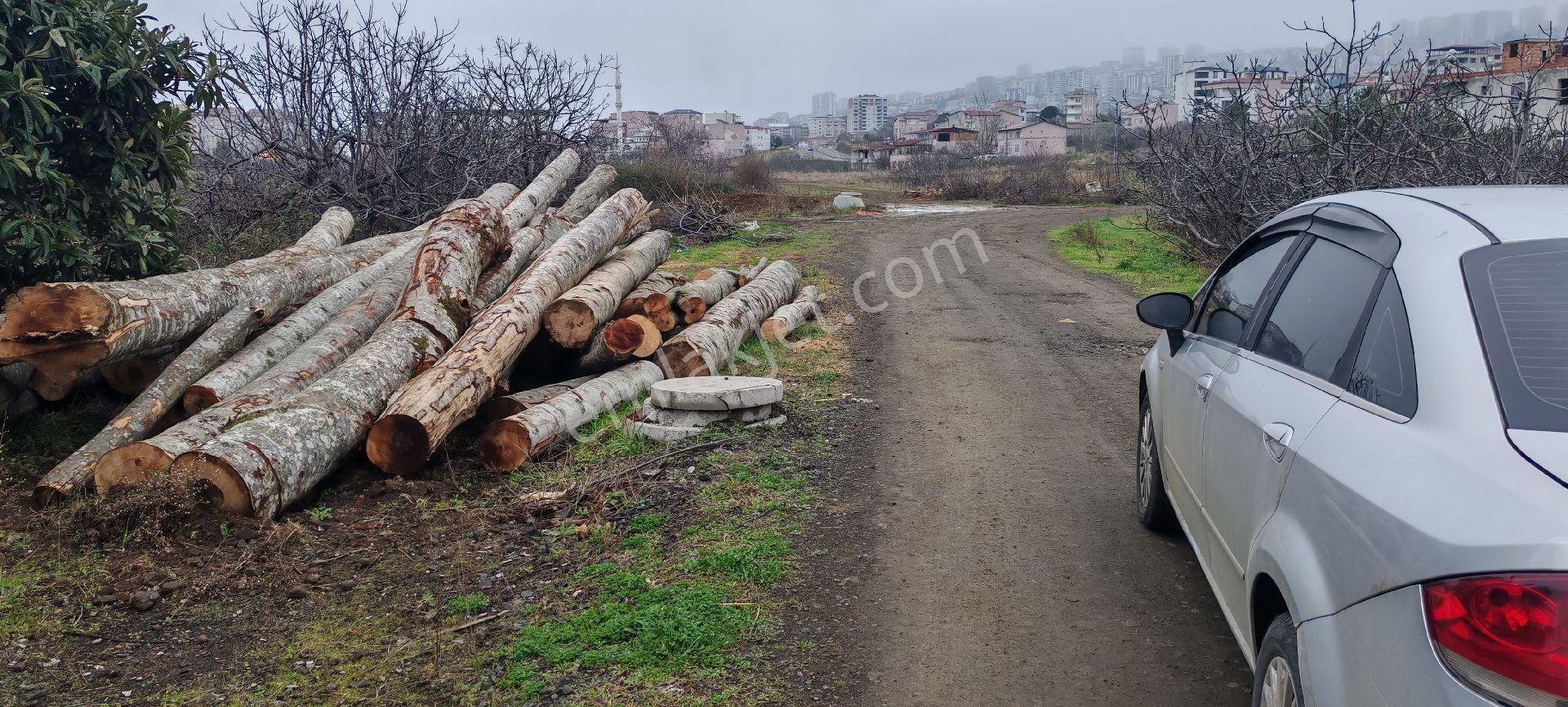 Samsun Canik. Haciismail De Vevre Yoluna Cephe Satilik 10 Kata İmar 1.40 Emsal Arsa - Görsel 2