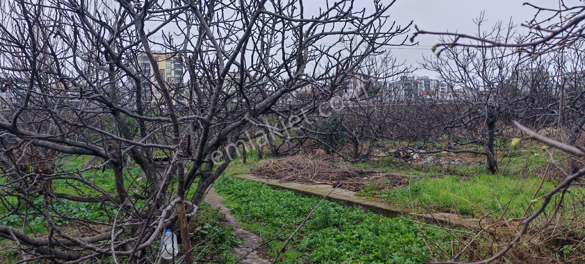 Samsun Canik. Haciismail De Vevre Yoluna Cephe Satilik 10 Kata İmar 1.40 Emsal Arsa - Görsel 4
