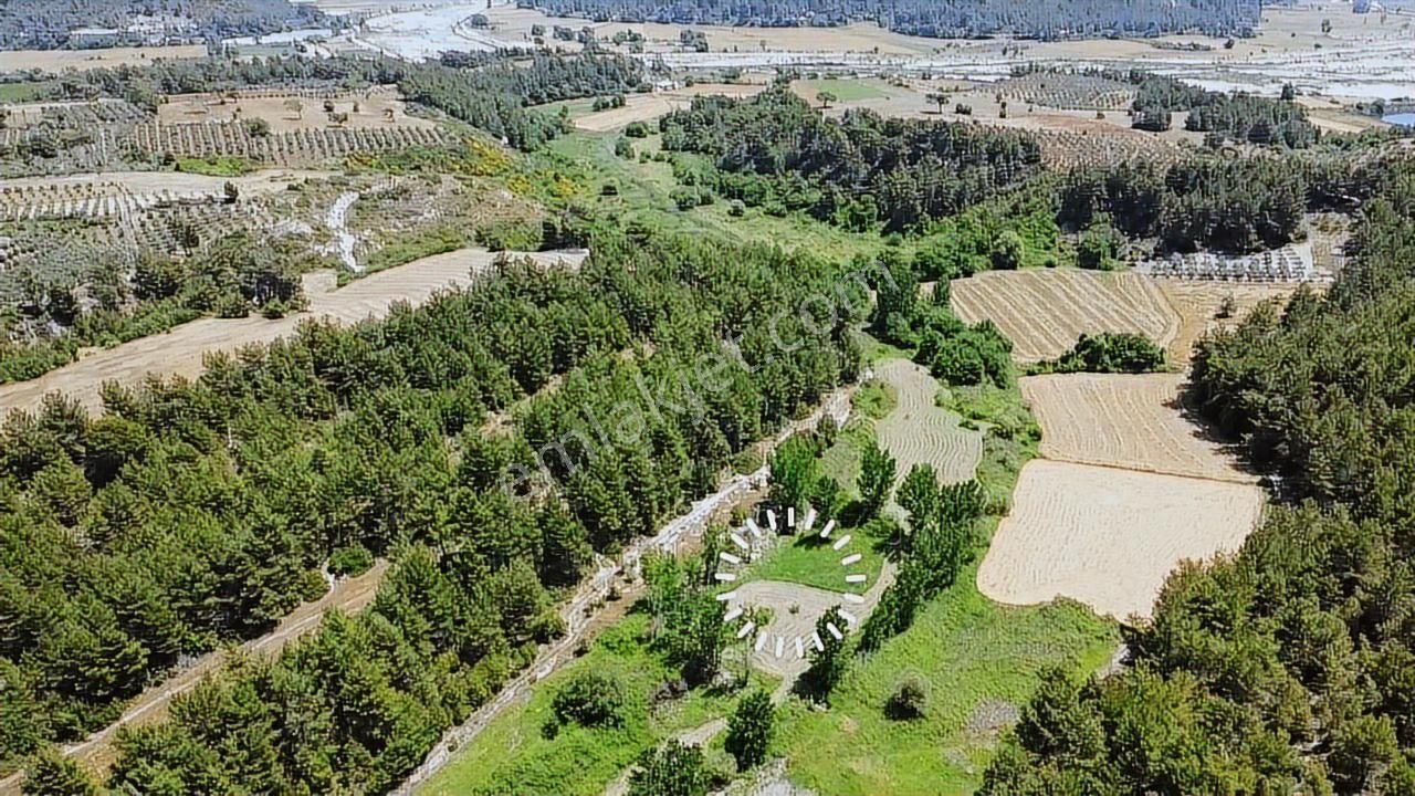 Uğur'dan Eşen 'de 3.900 M2 Satılık Arazi - Görsel 13