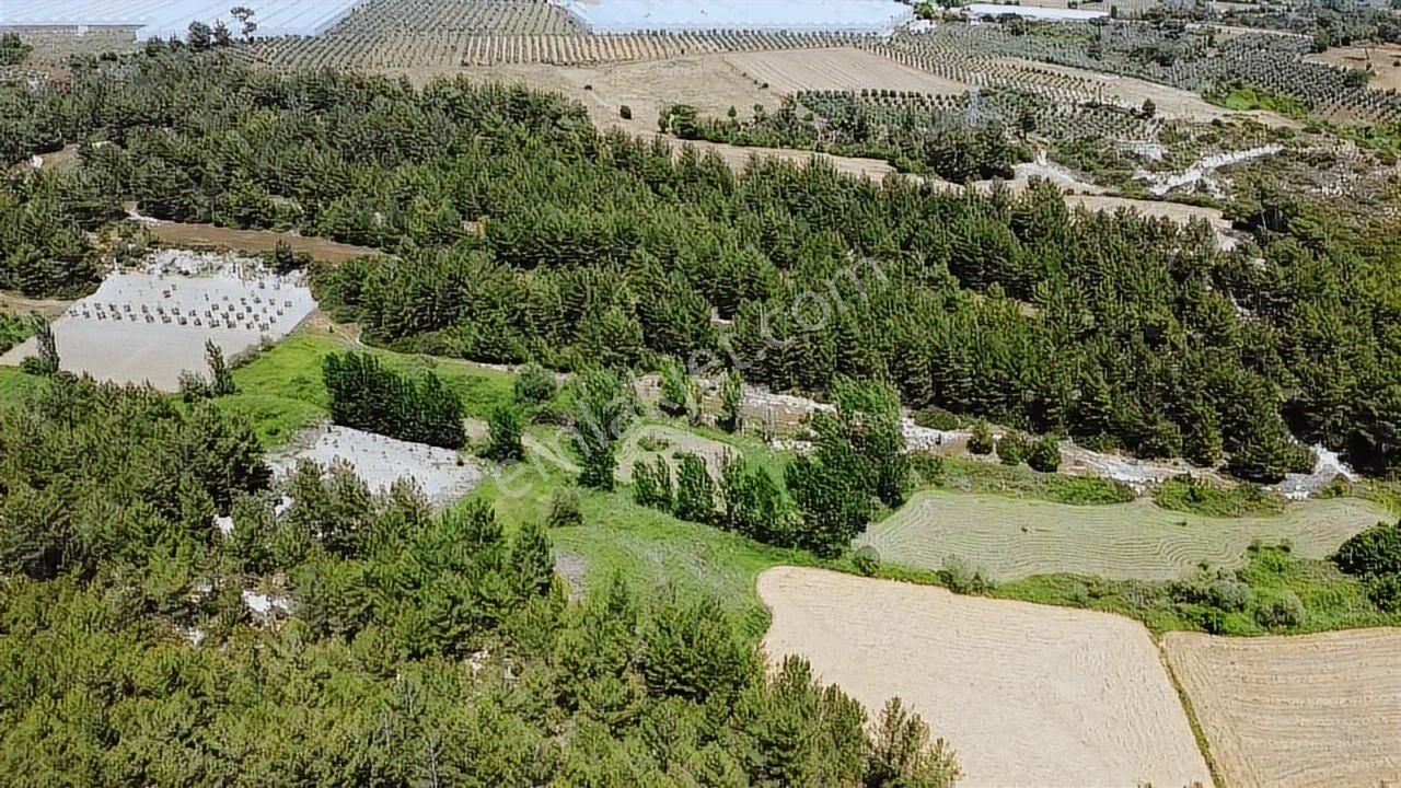 Uğur'dan Eşen 'de 3.900 M2 Satılık Arazi - Görsel 12