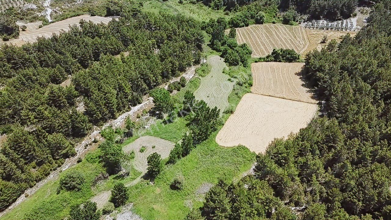 Uğur'dan Eşen 'de 3.900 M2 Satılık Arazi - Görsel 11