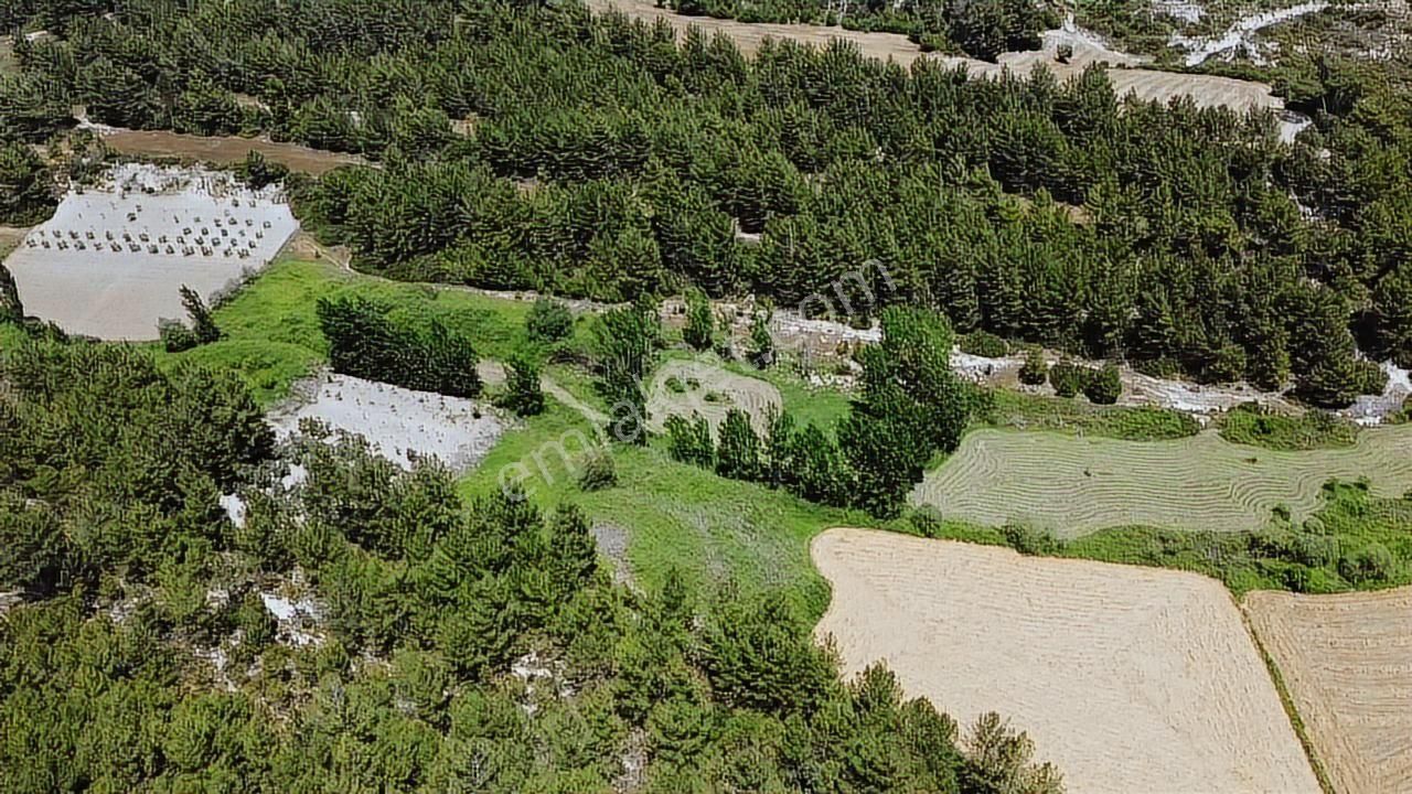 Uğur'dan Eşen 'de 3.900 M2 Satılık Arazi - Görsel 23