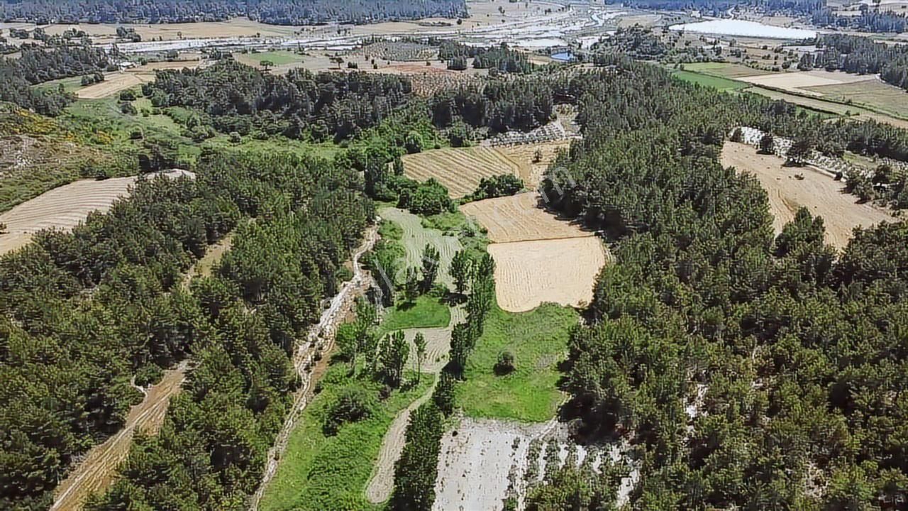 Uğur'dan Eşen 'de 3.900 M2 Satılık Arazi