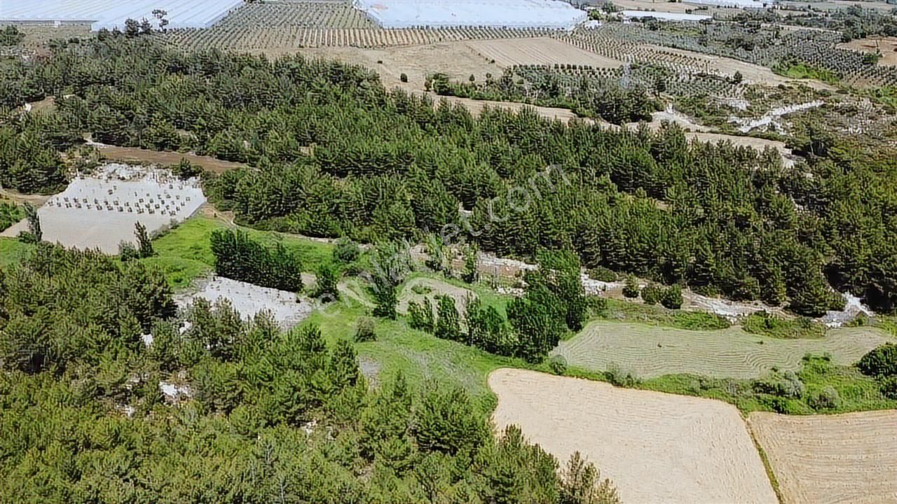 Uğur'dan Eşen 'de 3.900 M2 Satılık Arazi - Görsel 24