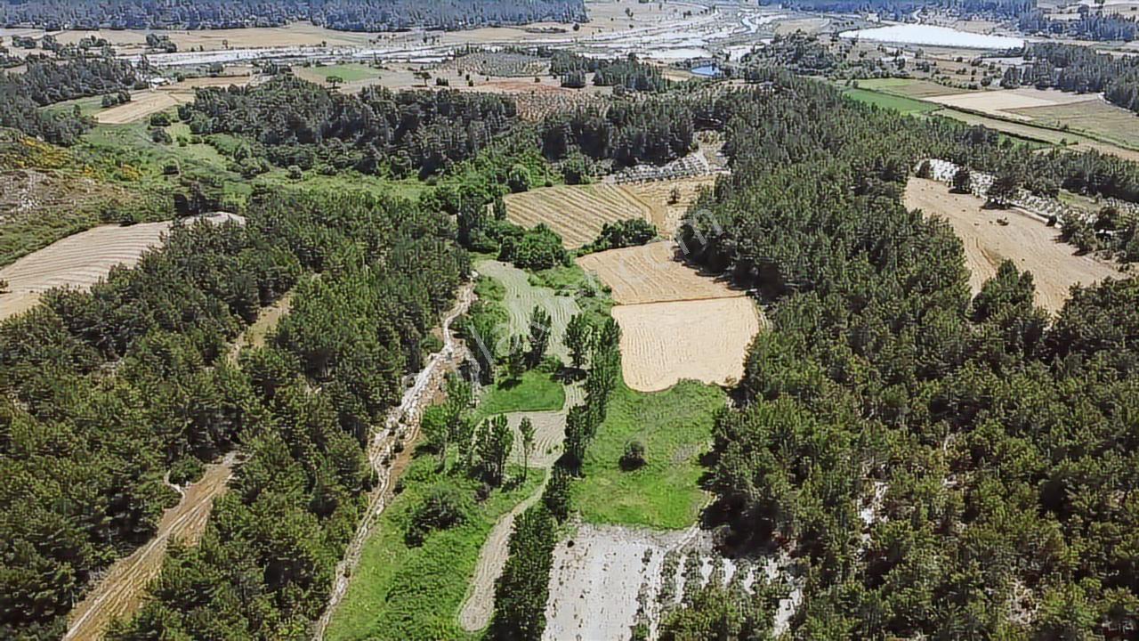 Muğla Seydikemer Eşen 'de 3.900 M2 Satılık Arazi - Görsel 35