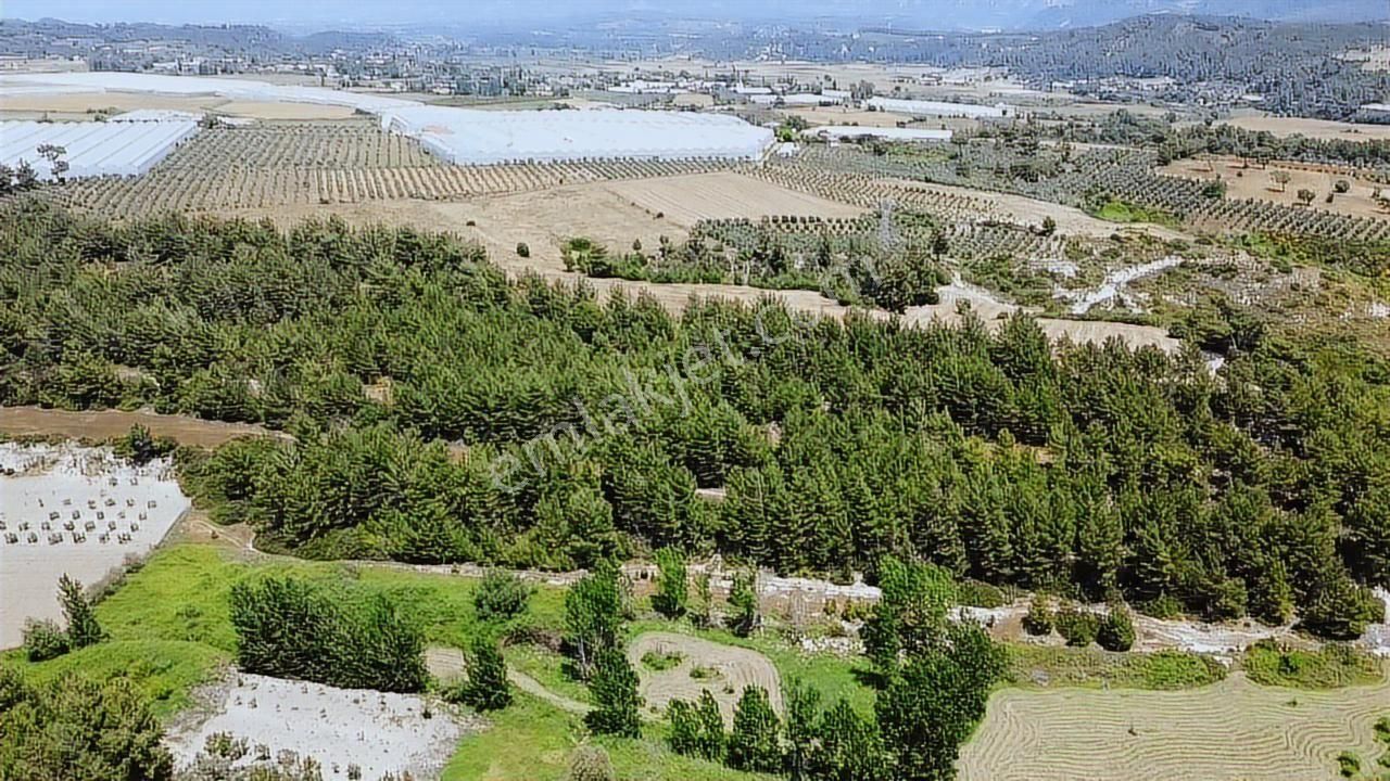 Uğur'dan Eşen 'de 3.900 M2 Satılık Arazi - Görsel 21