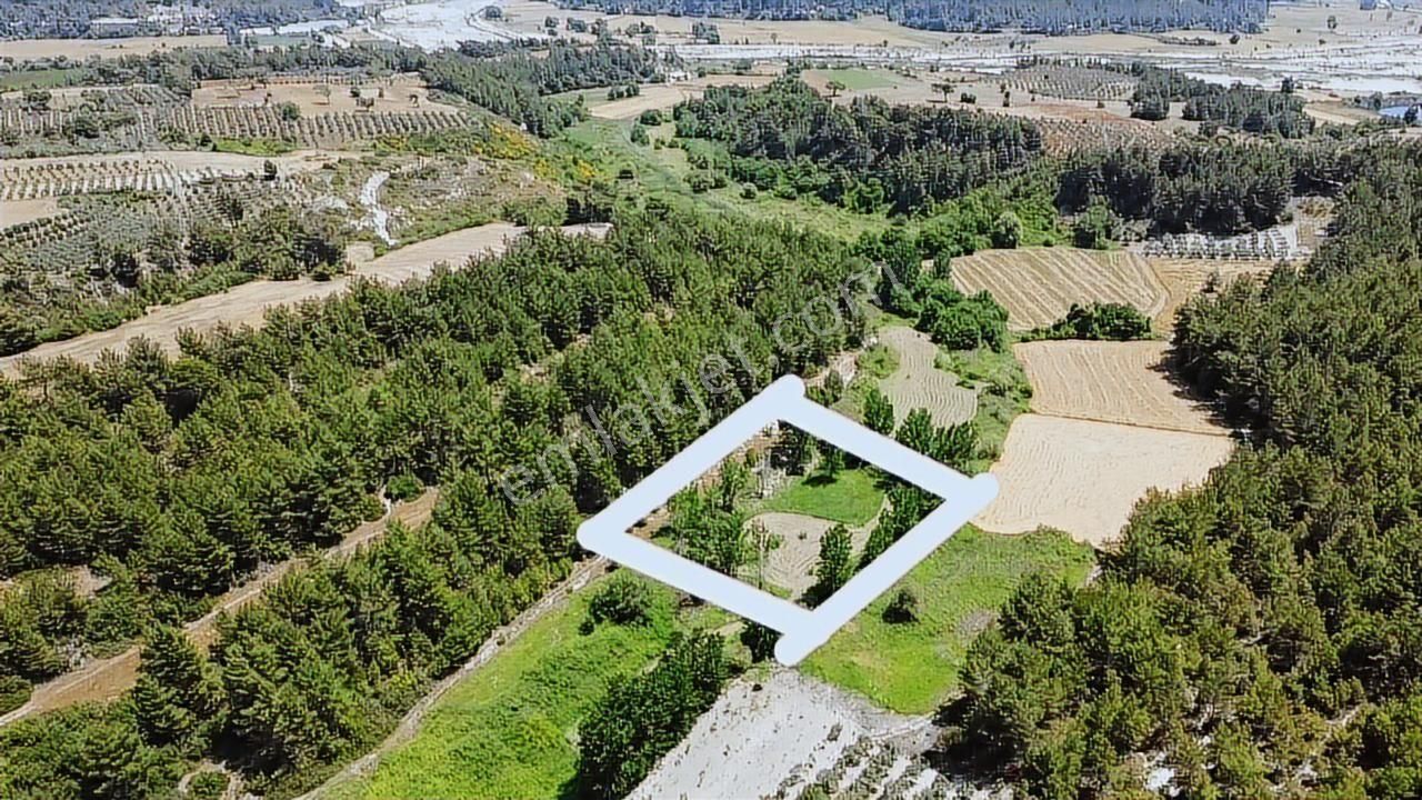 Uğur'dan Eşen 'de 3.900 M2 Satılık Arazi - Görsel 25