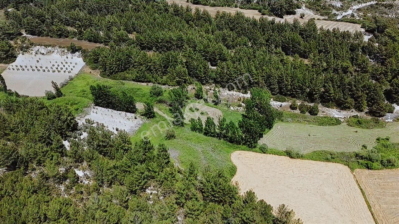 Uğur'dan Eşen 'de 3.900 M2 Satılık Arazi - Görsel 18