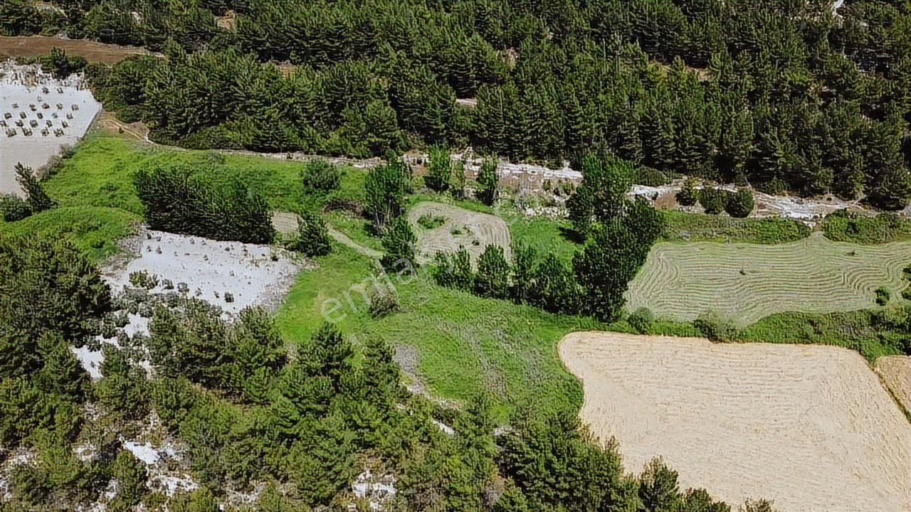Uğur'dan Eşen 'de 3.900 M2 Satılık Arazi - Görsel 5