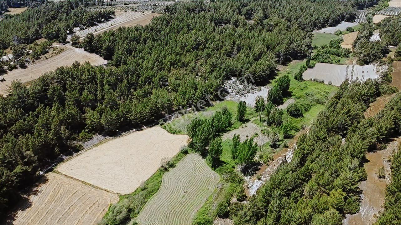 Uğur'dan Eşen 'de 3.900 M2 Satılık Arazi - Görsel 8