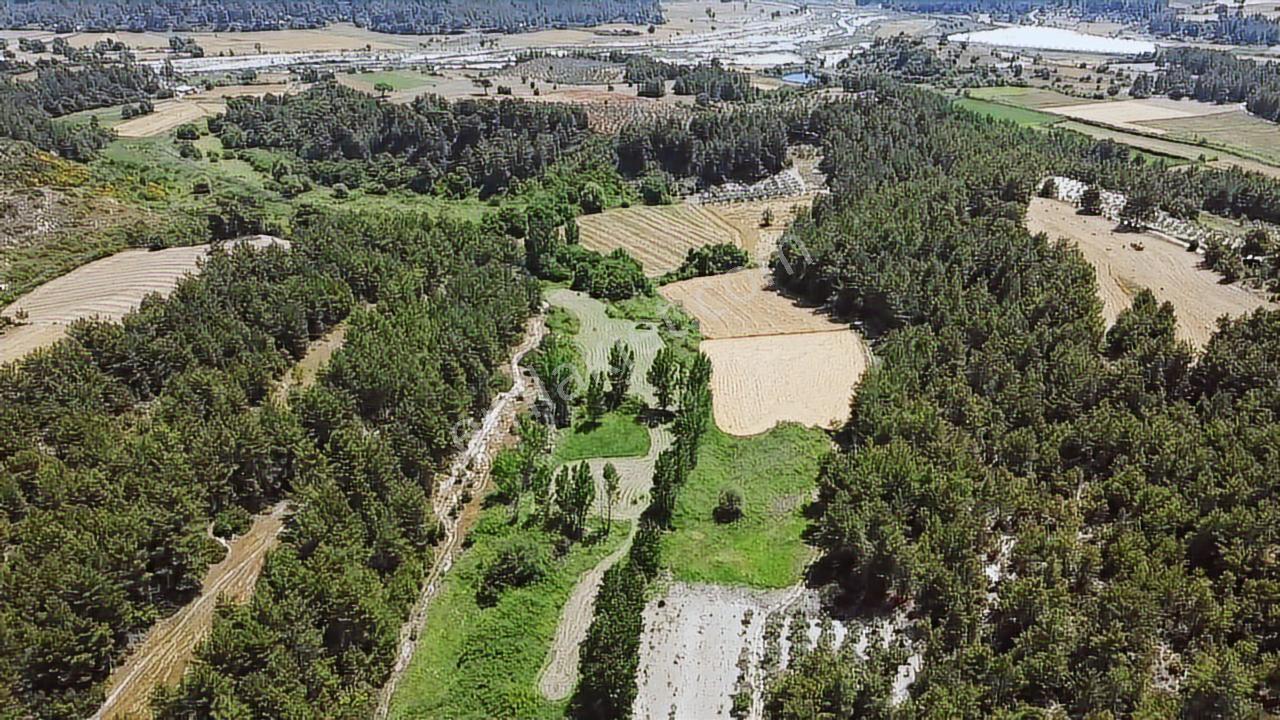 Muğla Seydikemer Eşen 'de 3.900 M2 Satılık Arazi - Görsel 6
