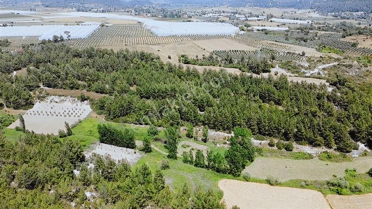 Uğur'dan Eşen 'de 3.900 M2 Satılık Arazi - Görsel 19