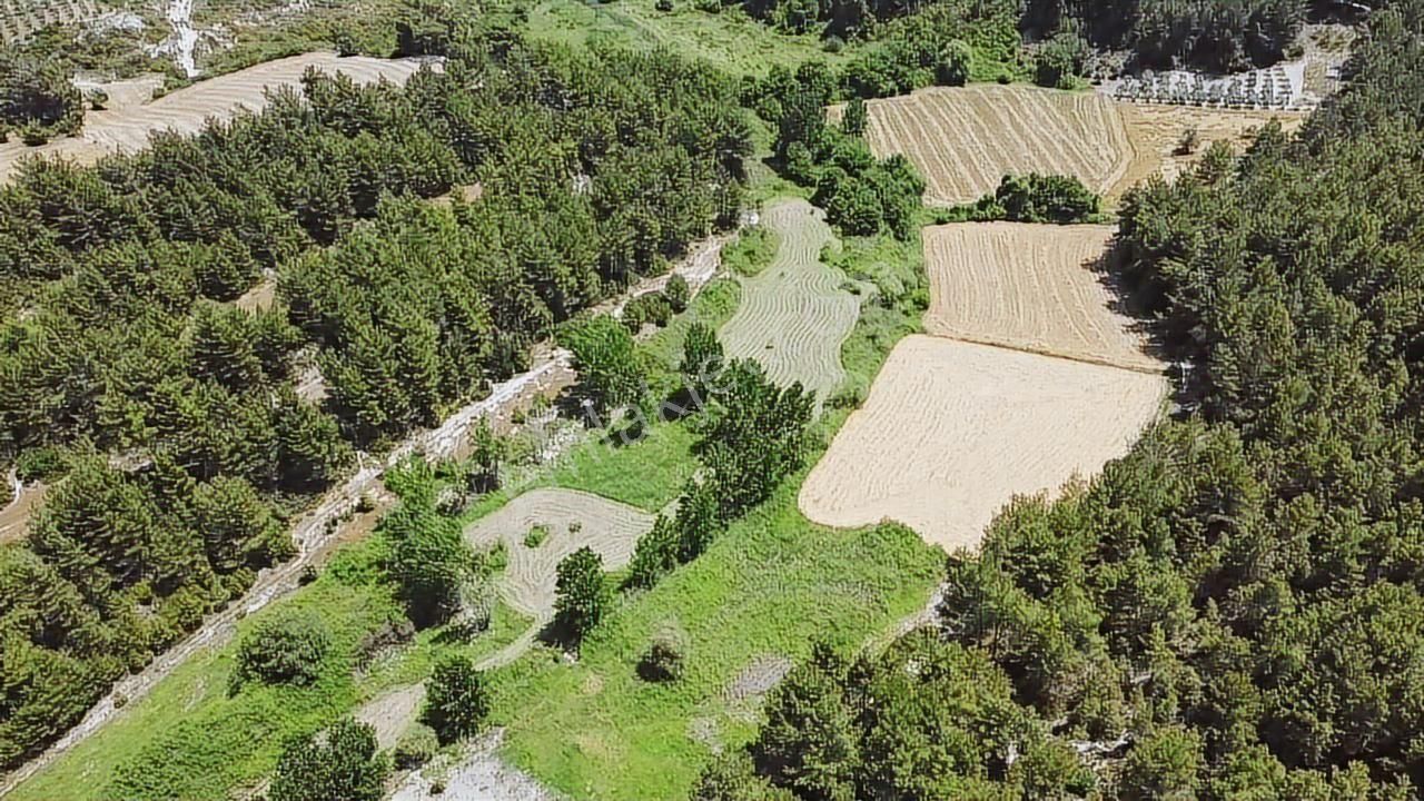 Uğur'dan Eşen 'de 3.900 M2 Satılık Arazi - Görsel 3