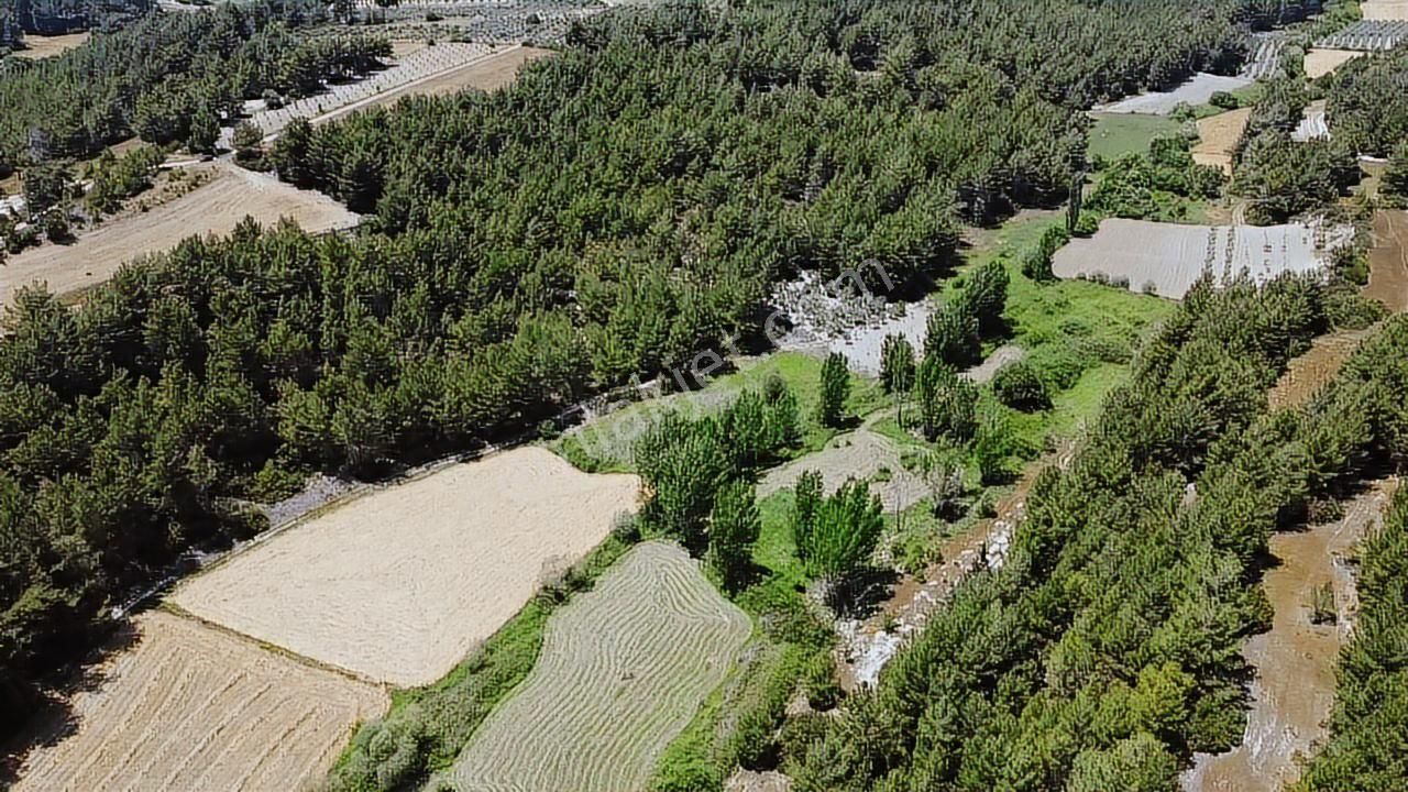 Uğur'dan Eşen 'de 3.900 M2 Satılık Arazi - Görsel 4