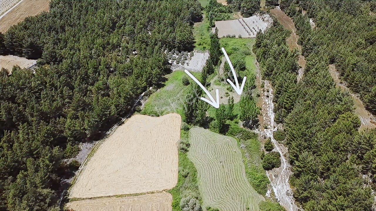 Muğla Seydikemer Eşen 'de 3.900 M2 Satılık Arazi - Görsel 7