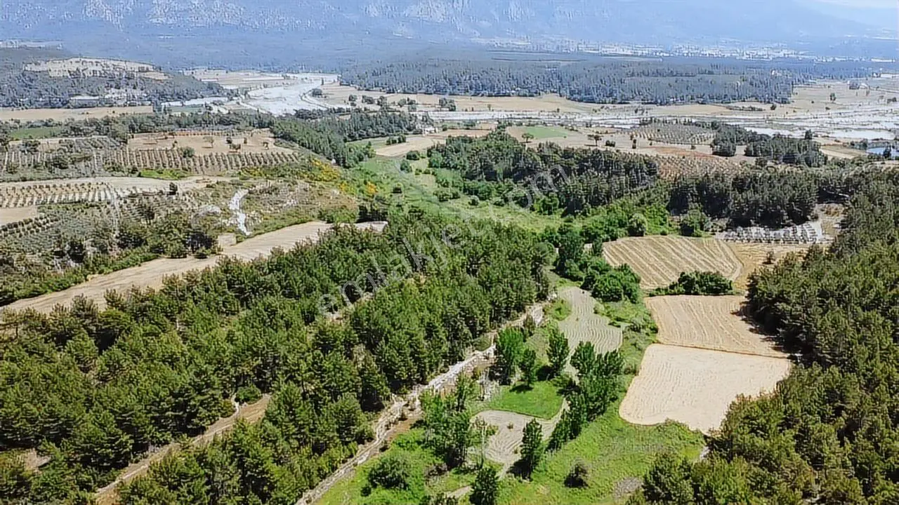 Muğla Seydikemer Eşen 'de 3.900 M2 Satılık Arazi - Görsel 5