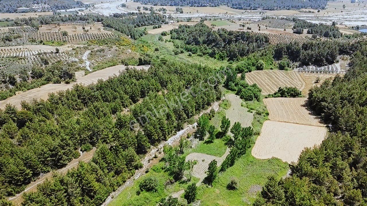 Uğur'dan Eşen 'de 3.900 M2 Satılık Arazi - Görsel 7