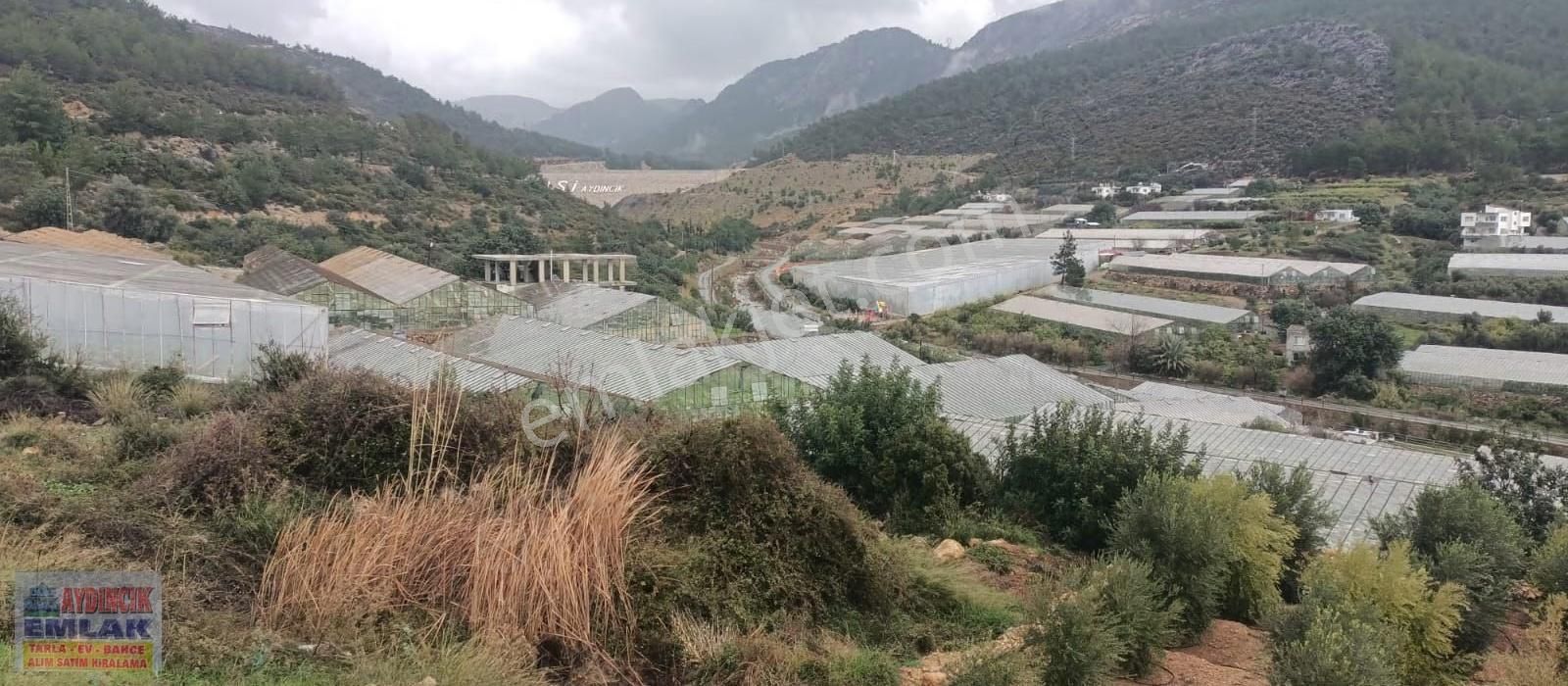 Aydıncık Emlaktan Satılık (2 Ev, 2 Sera Ve Meyve Ağaçları) - Görsel 8