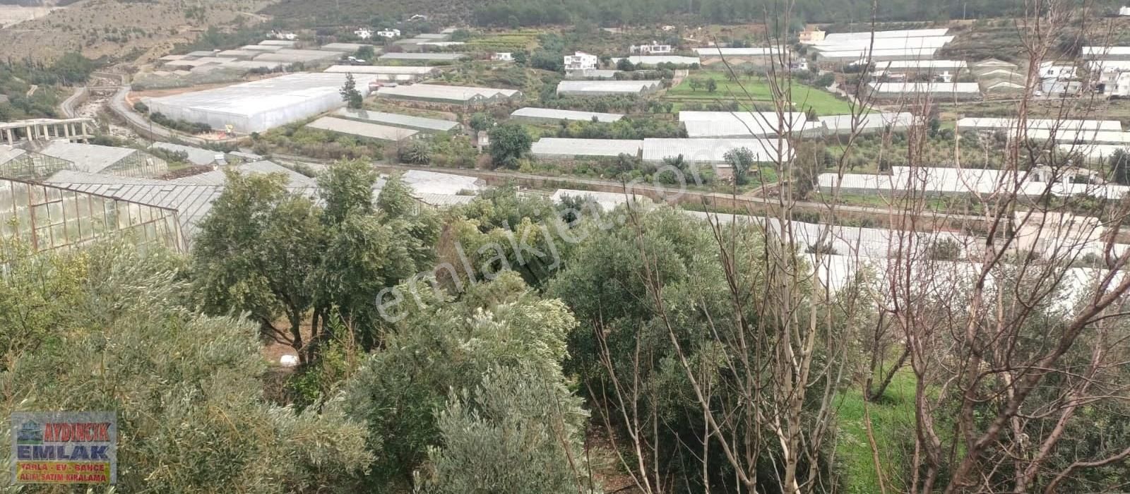 Aydıncık Emlaktan Satılık (2 Ev, 2 Sera Ve Meyve Ağaçları) - Görsel 17