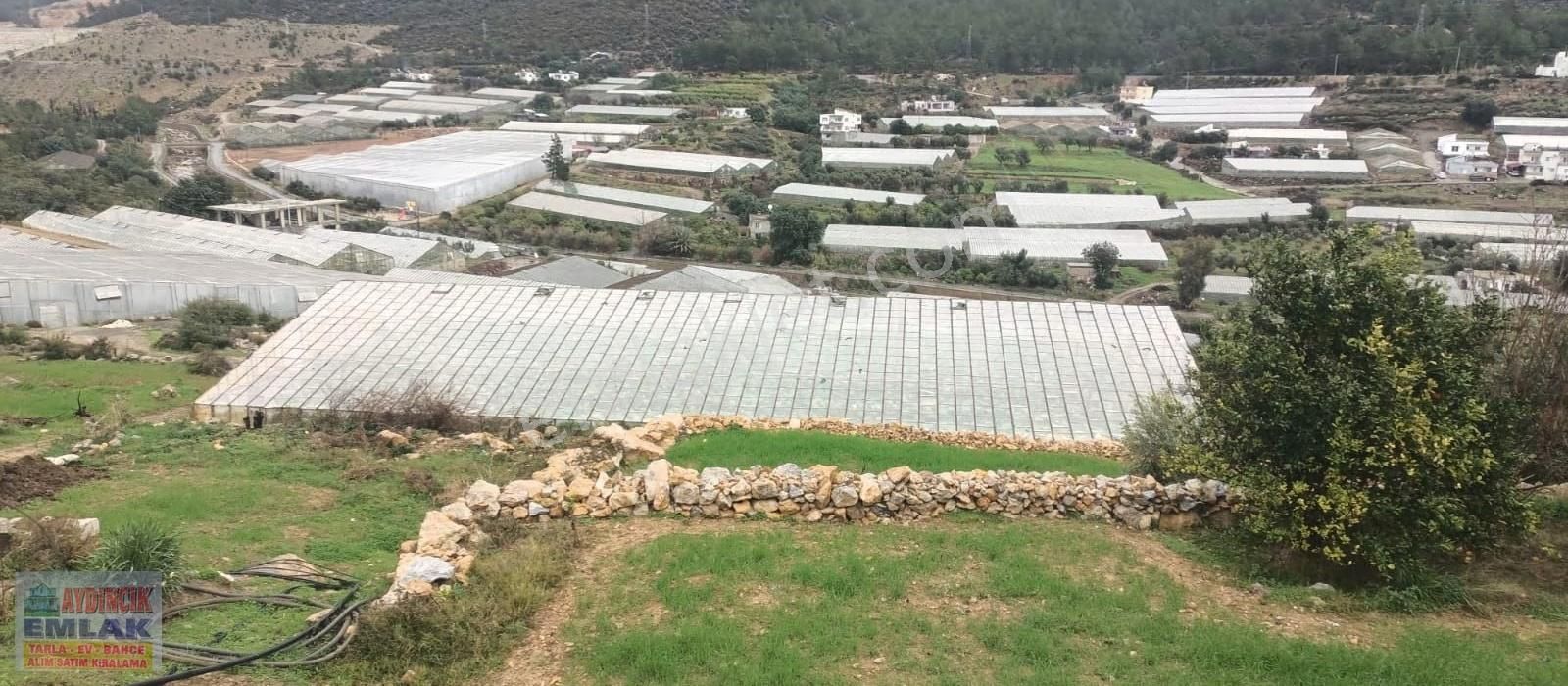 Aydıncık Emlaktan Satılık (2 Ev, 2 Sera Ve Meyve Ağaçları) - Görsel 29