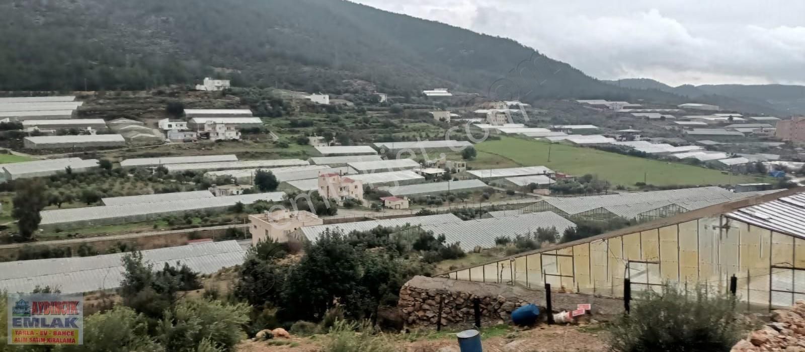 Aydıncık Emlaktan Satılık (2 Ev, 2 Sera Ve Meyve Ağaçları) - Görsel 27