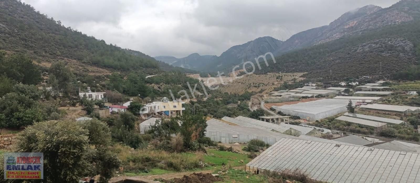 Aydıncık Emlaktan Satılık (2 Ev, 2 Sera Ve Meyve Ağaçları) - Görsel 2