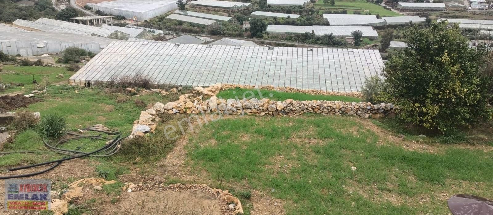 Aydıncık Emlaktan Satılık (2 Ev, 2 Sera Ve Meyve Ağaçları) - Görsel 9