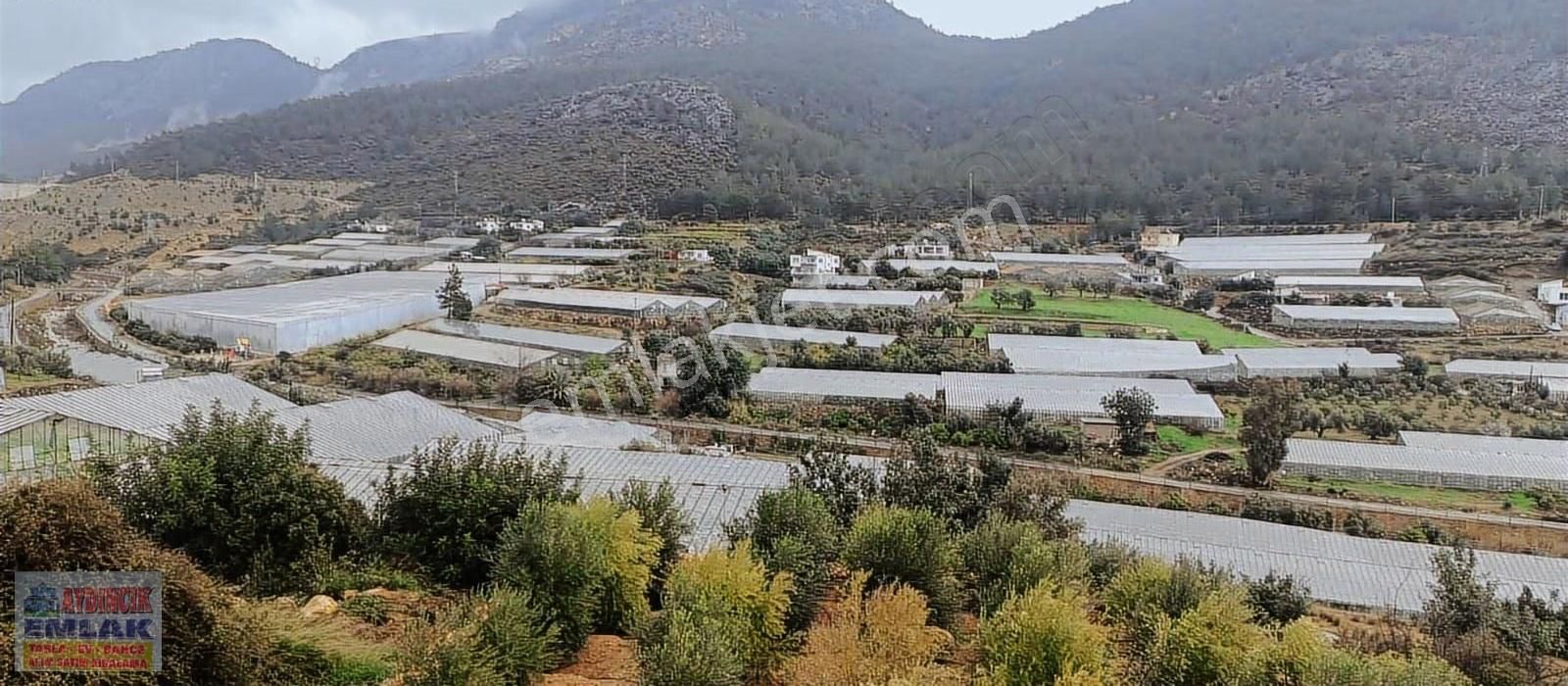 Aydıncık Emlaktan Satılık (2 Ev, 2 Sera Ve Meyve Ağaçları) - Görsel 30