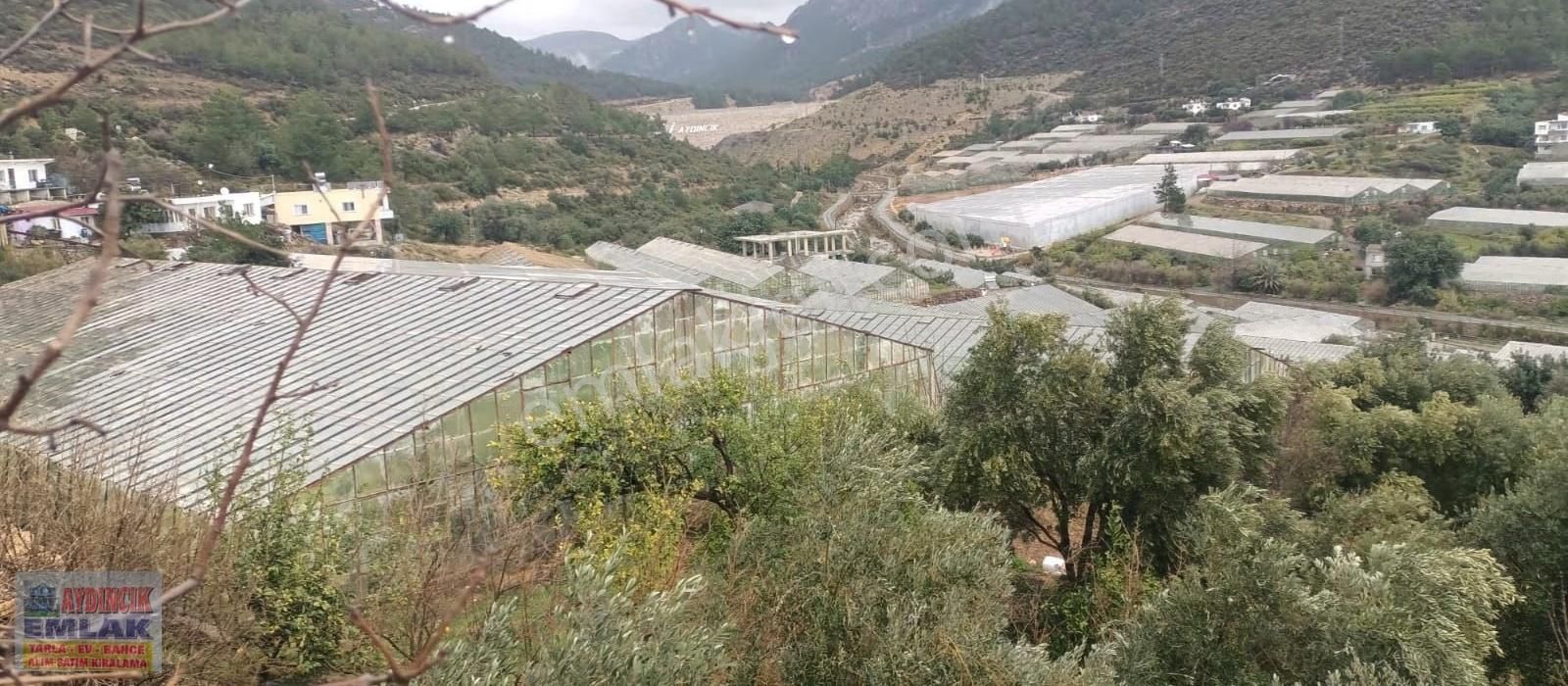 Aydıncık Emlaktan Satılık (2 Ev, 2 Sera Ve Meyve Ağaçları) - Görsel 32