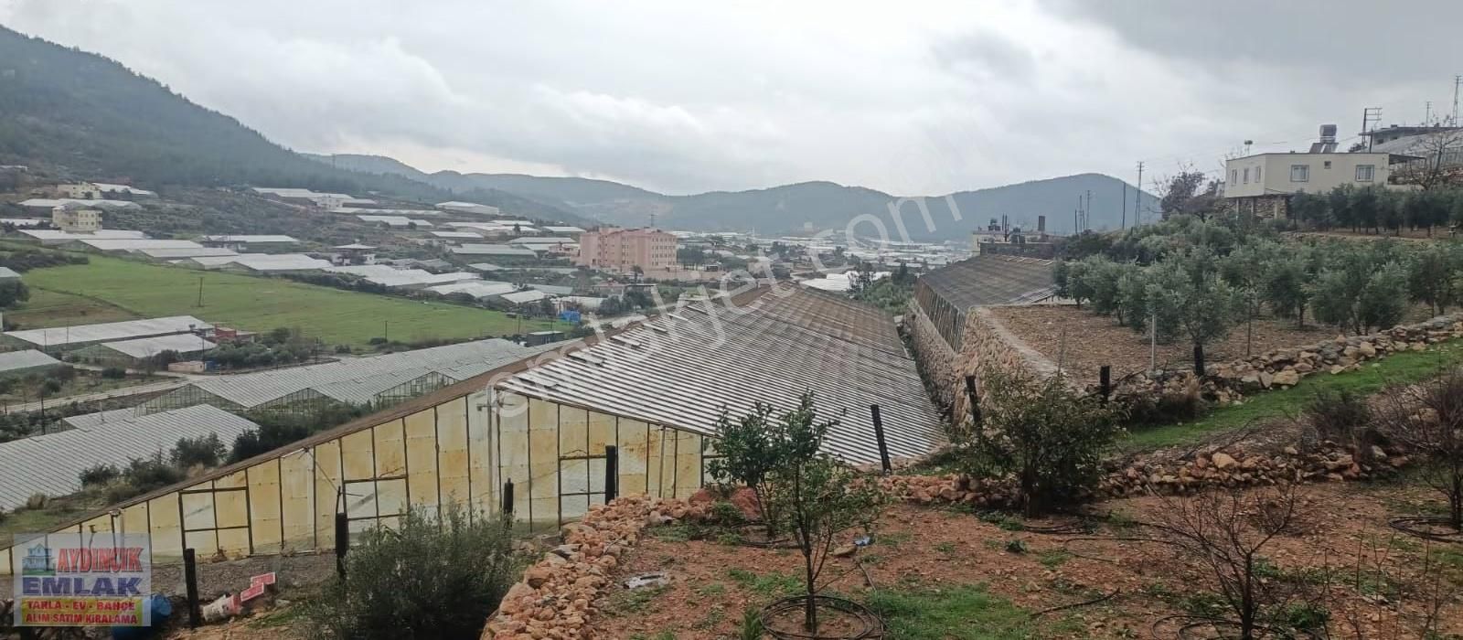 Aydıncık Emlaktan Satılık (2 Ev, 2 Sera Ve Meyve Ağaçları) - Görsel 4