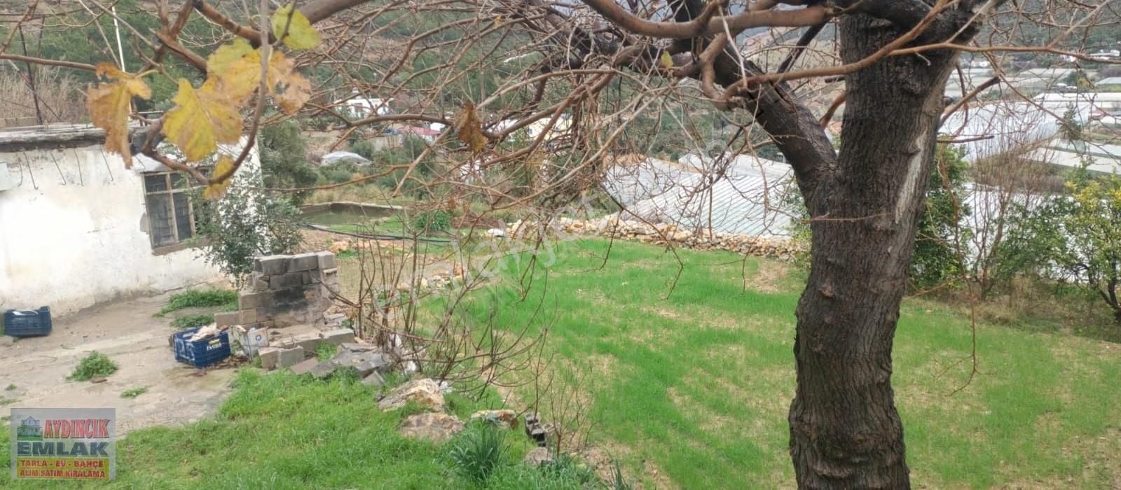 Aydıncık Emlaktan Satılık (2 Ev, 2 Sera Ve Meyve Ağaçları) - Görsel 12