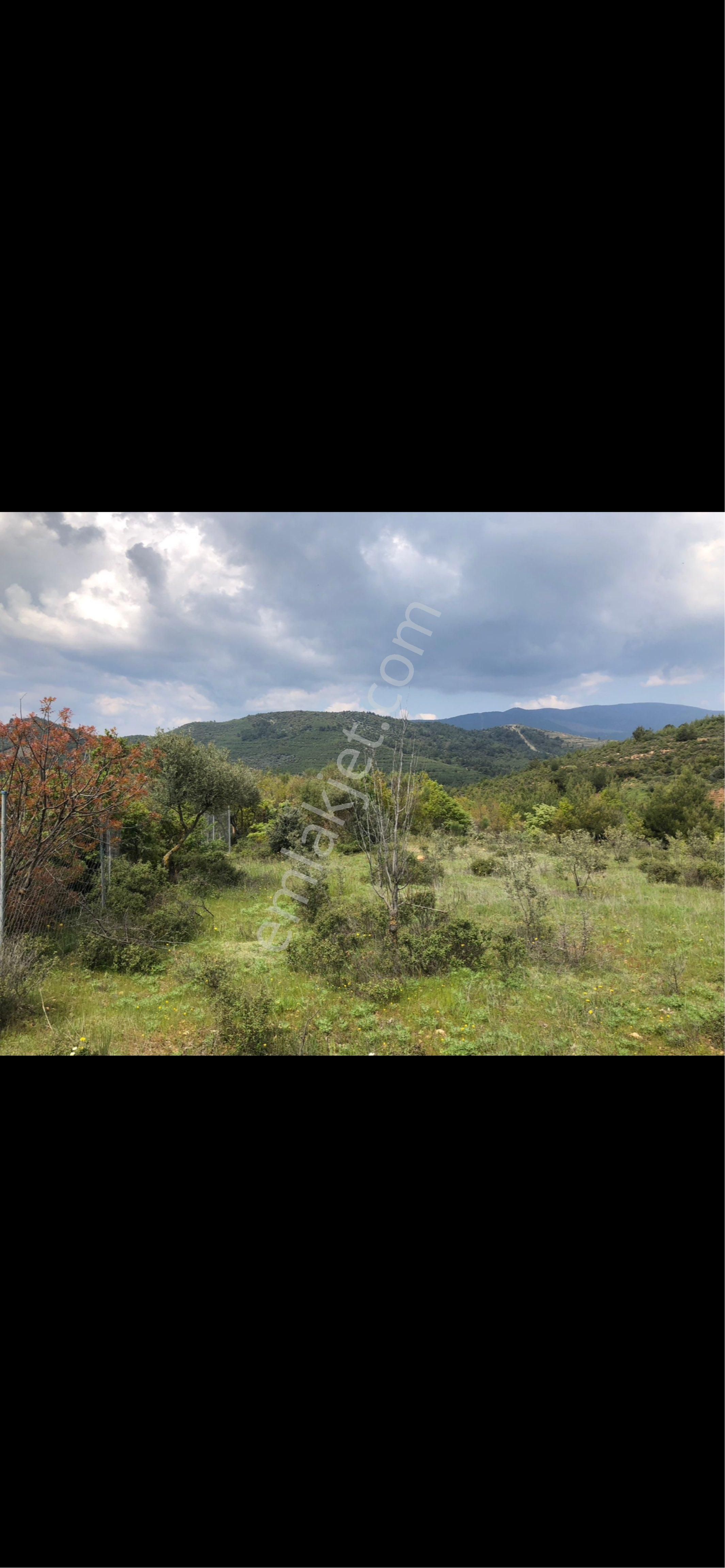 Acil 1719.4 Mt2 Bayındır Alanköyde Tarla - Görsel 5