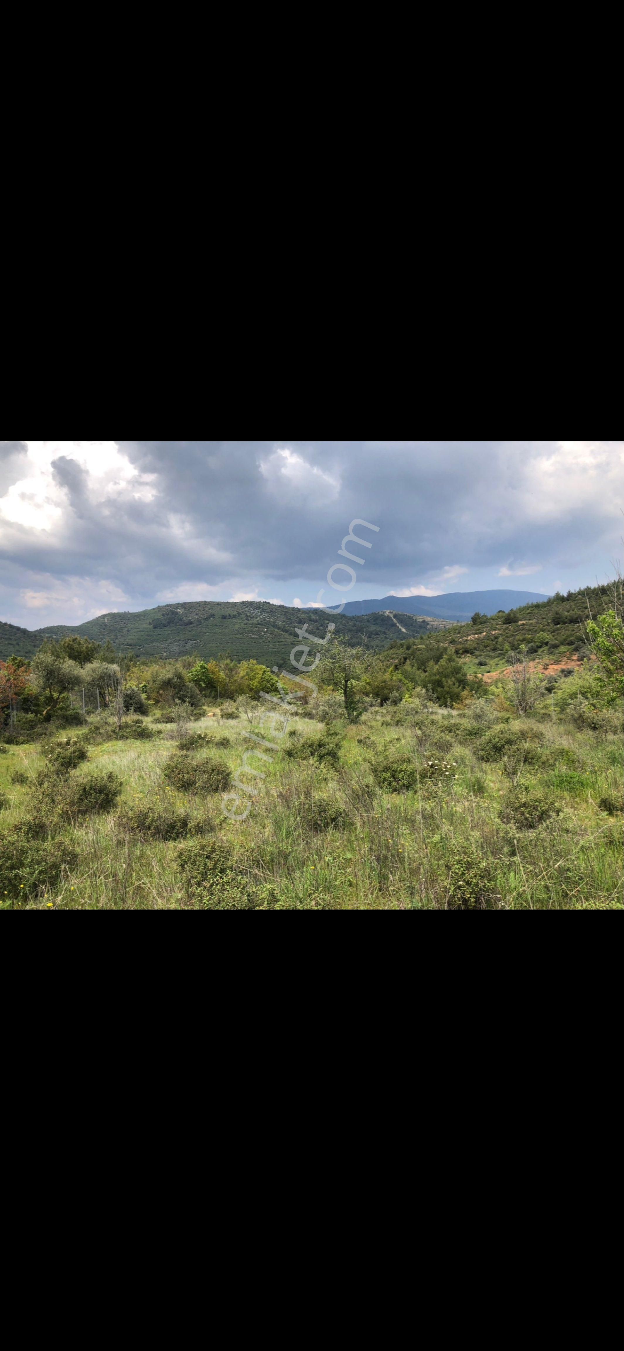 Acil 1719.4 Mt2 Bayındır Alanköyde Tarla - Görsel 7