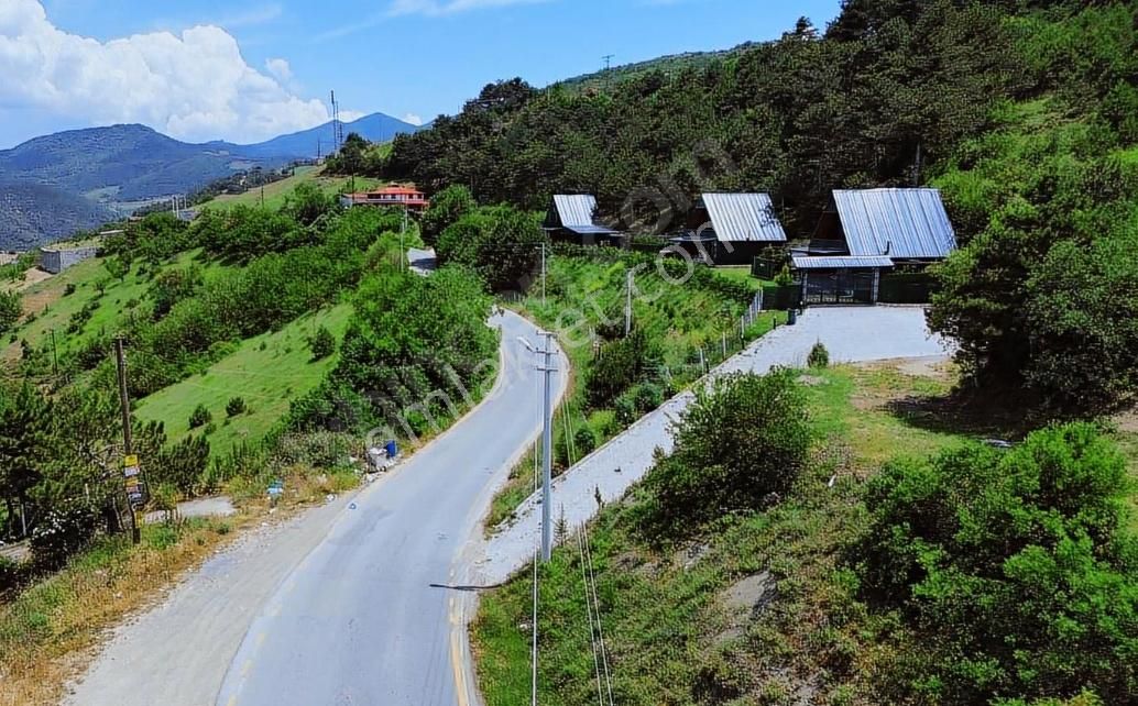 Geyve Ceceler Köyü Süper Konum Asfalta Cepheli Manzaralı 508 M² Arazi - Görsel 13