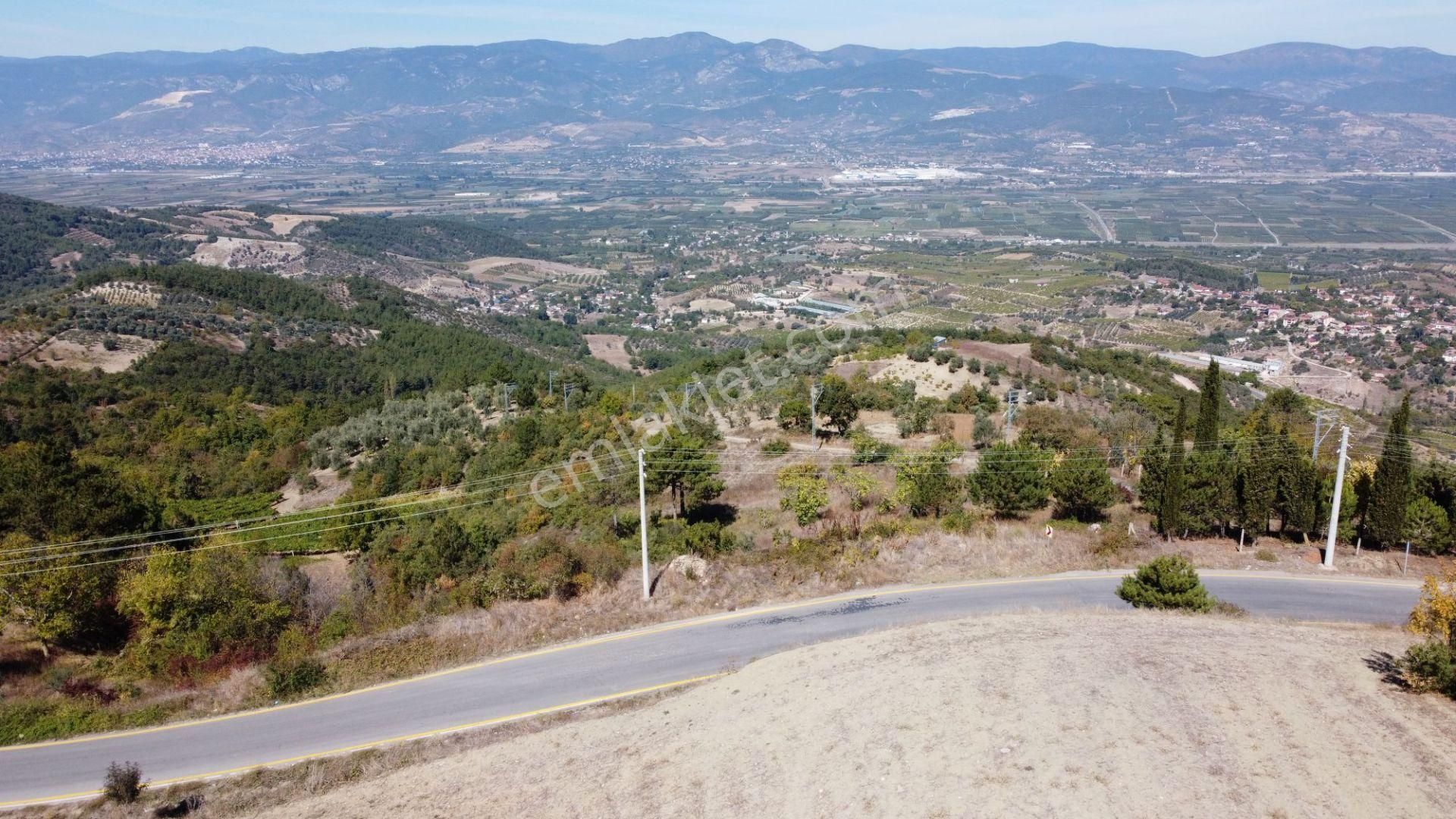 Geyve Ceceler Köyü Süper Konum Asfalta Cepheli Manzaralı 508 M² Arazi - Görsel 12