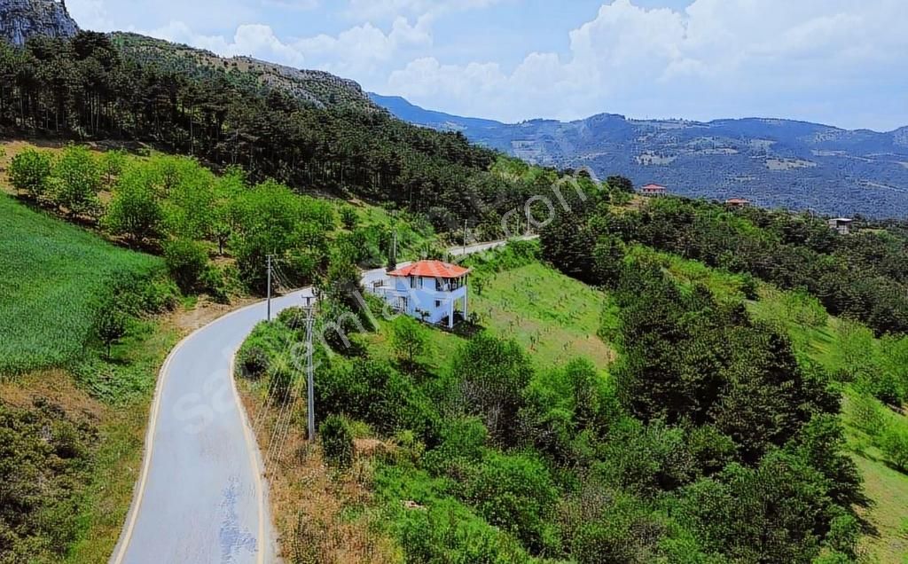 Geyve Ceceler Köyü Süper Konum Asfalta Cepheli Manzaralı 508 M² Arazi - Görsel 14