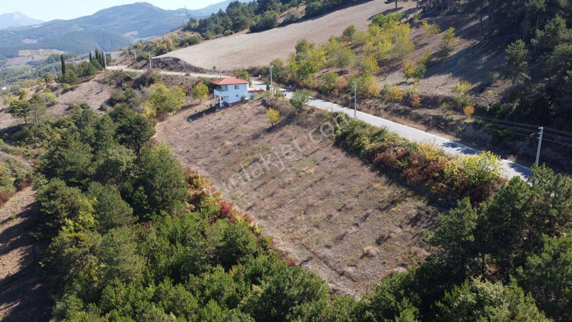 Geyve Ceceler Köyü Süper Konum Asfalta Cepheli Manzaralı 508 M² Arazi - Görsel 4