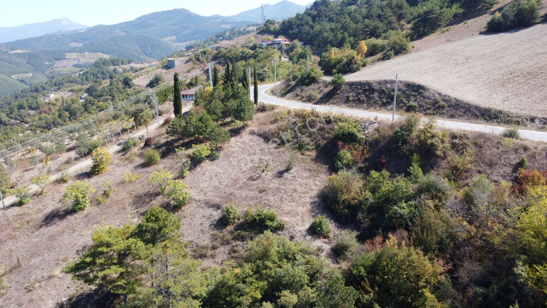 Geyve Ceceler Köyü Süper Konum Asfalta Cepheli Manzaralı 508 M² Arazi - Görsel 6