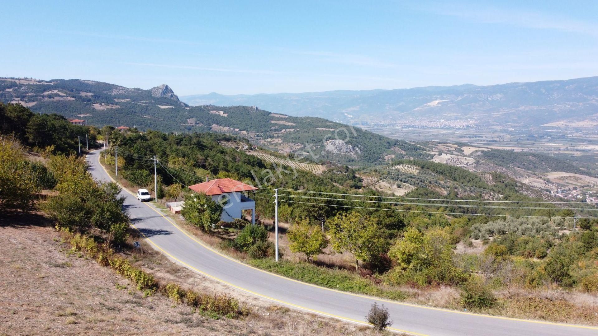 Geyve Ceceler Köyü Süper Konum Asfalta Cepheli Manzaralı 508 M² Arazi - Görsel 10