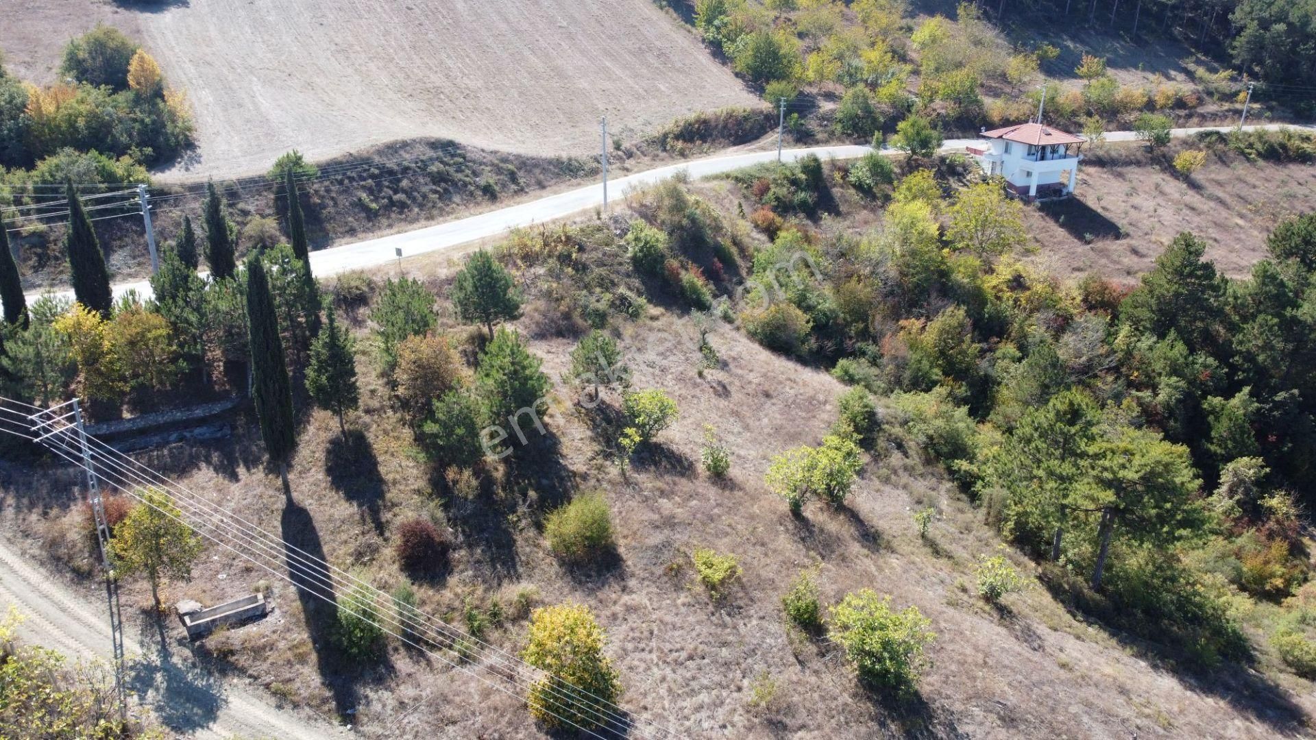 Geyve Ceceler Köyü Süper Konum Asfalta Cepheli Manzaralı 508 M² Arazi - Görsel 8