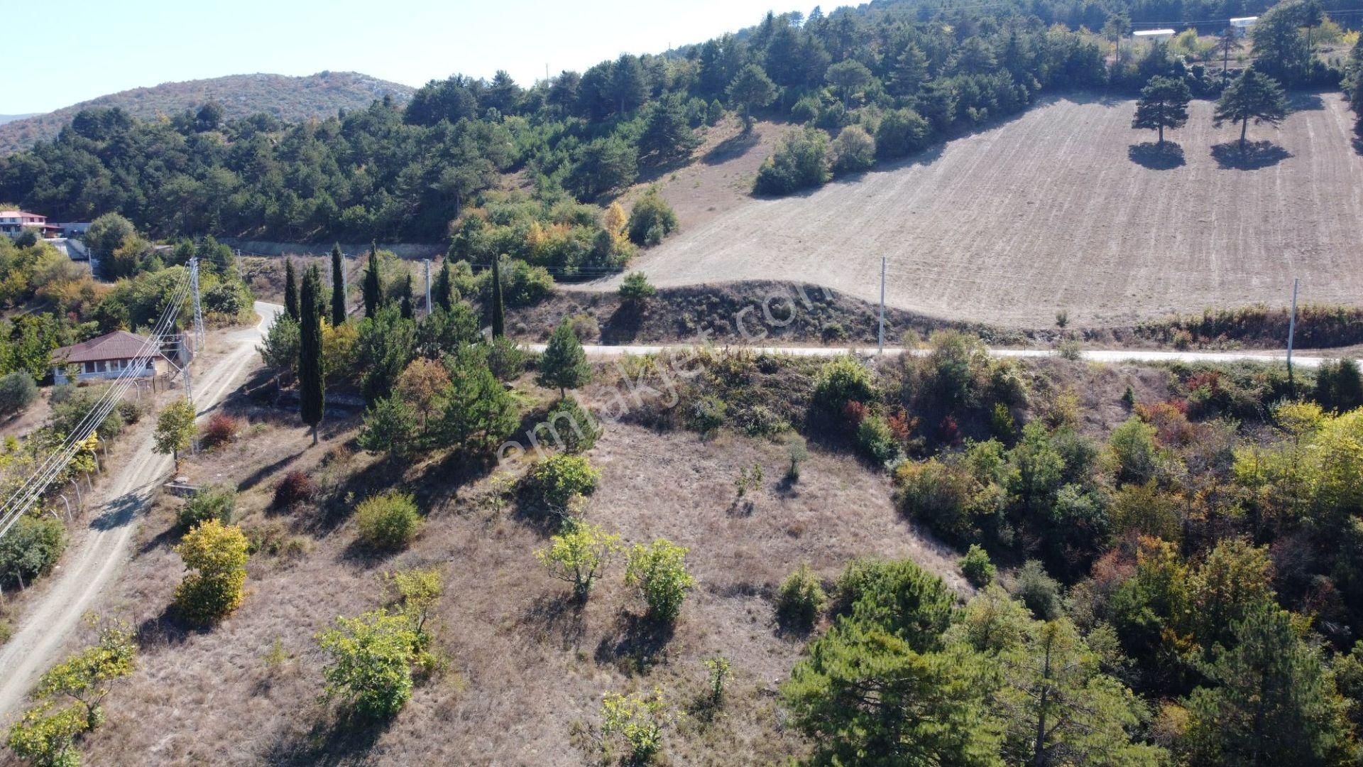 Geyve Ceceler Köyü Süper Konum Asfalta Cepheli Manzaralı 508 M² Arazi - Görsel 9