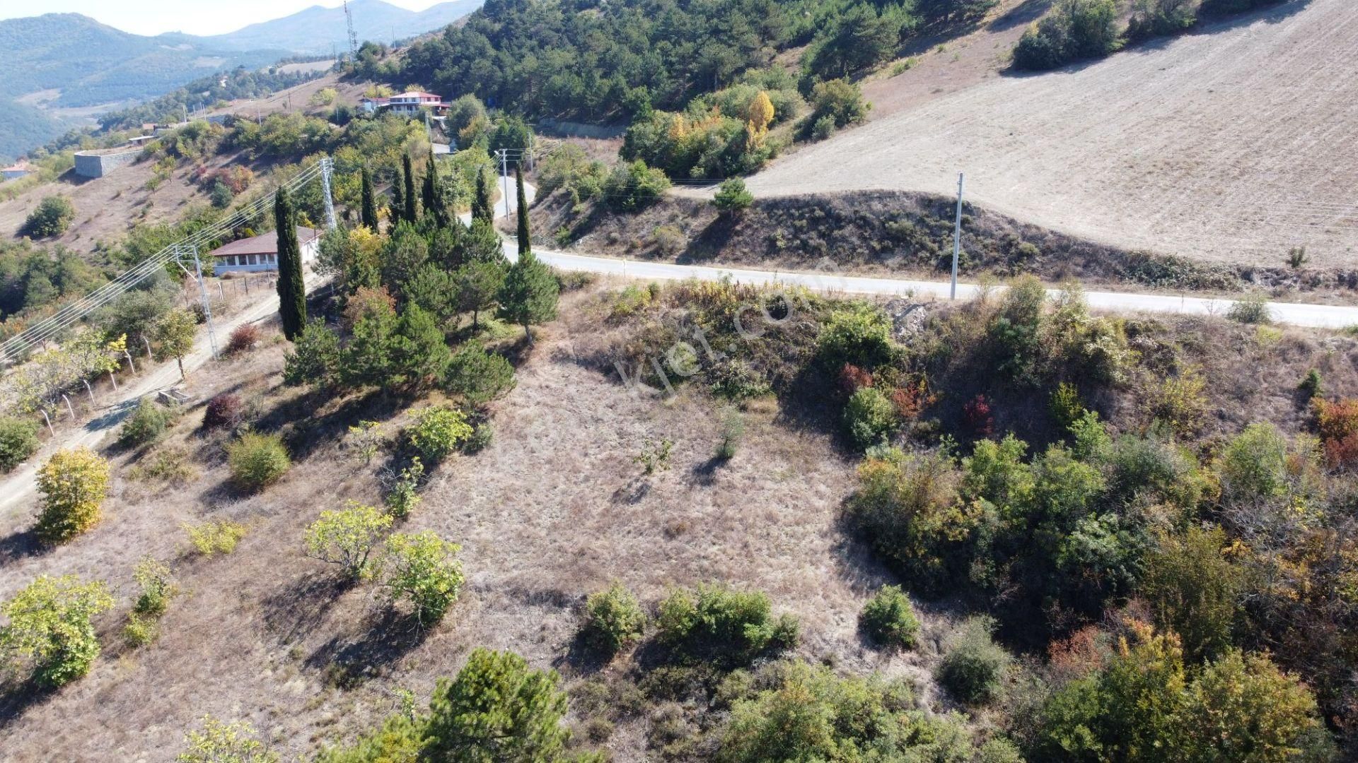 Geyve Ceceler Köyü Süper Konum Asfalta Cepheli Manzaralı 508 M² Arazi - Görsel 5