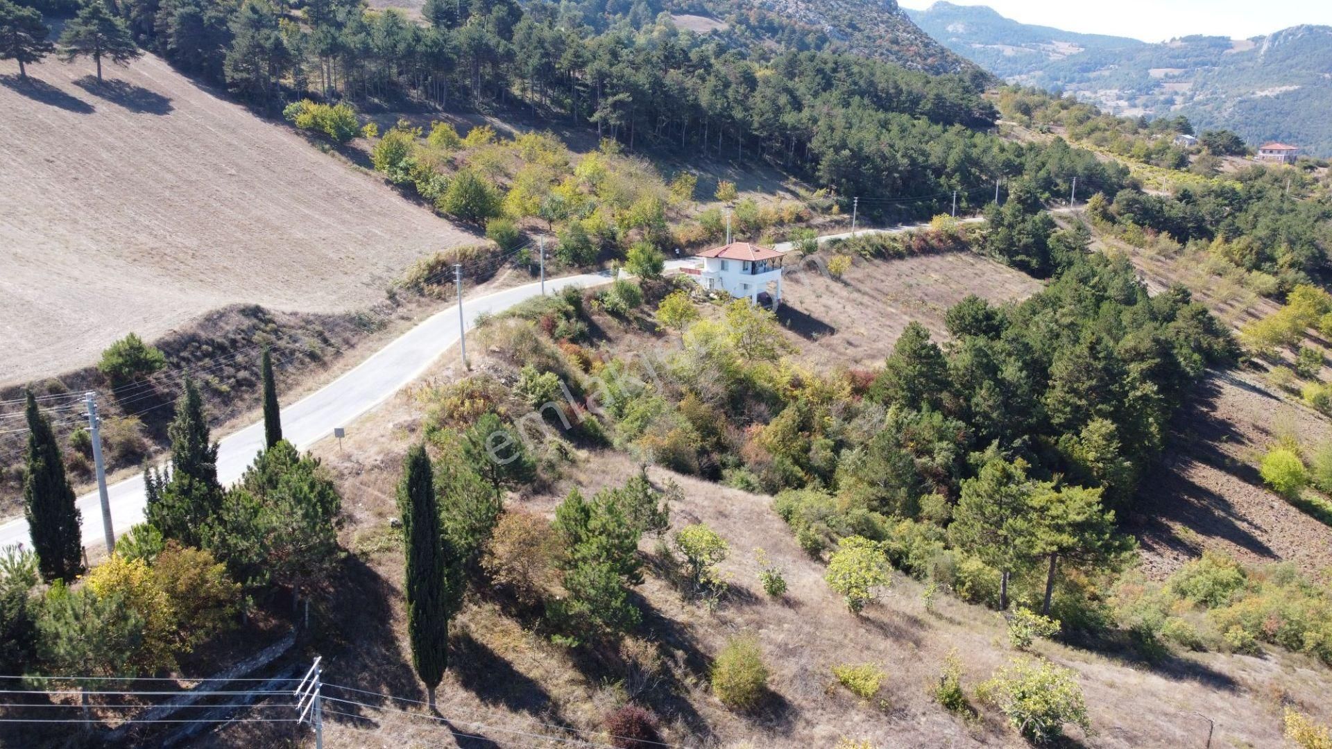 Geyve Ceceler Köyü Süper Konum Asfalta Cepheli Manzaralı 508 M² Arazi - Görsel 7
