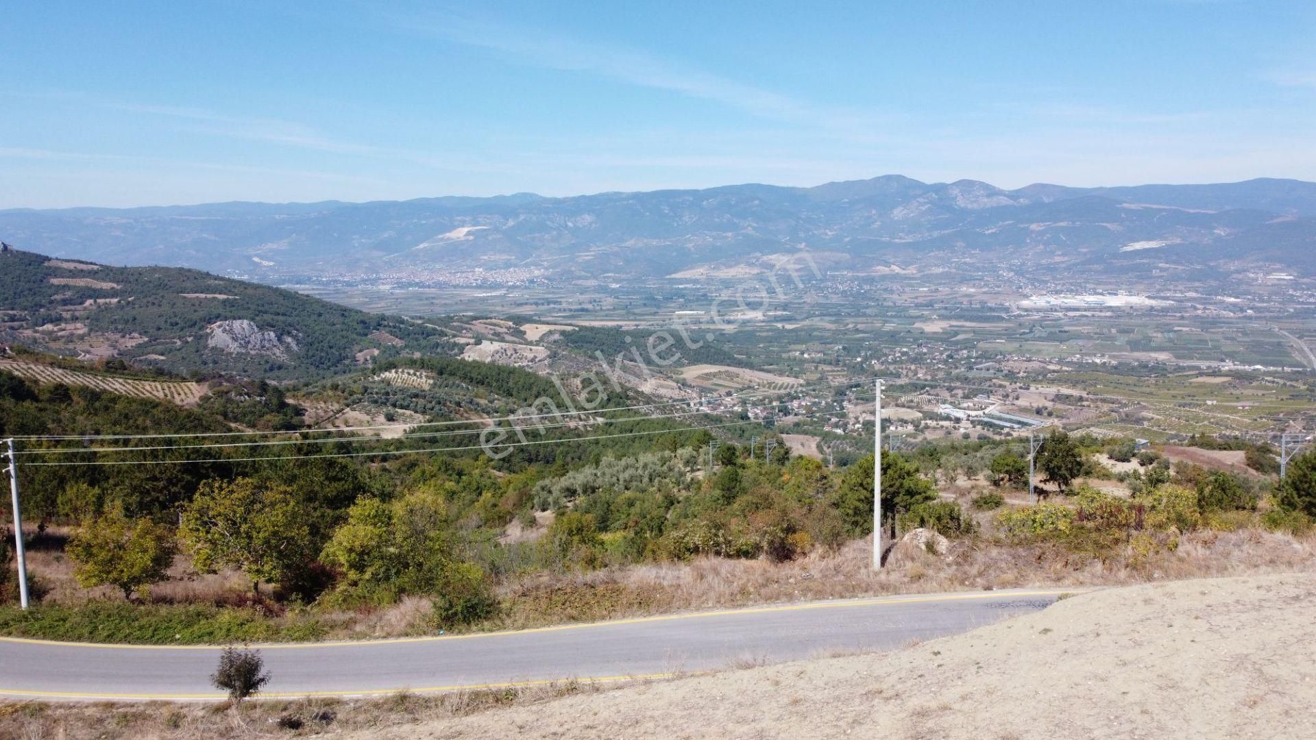 Geyve Ceceler Köyü Süper Konum Asfalta Cepheli Manzaralı 508 M² Arazi - Görsel 11